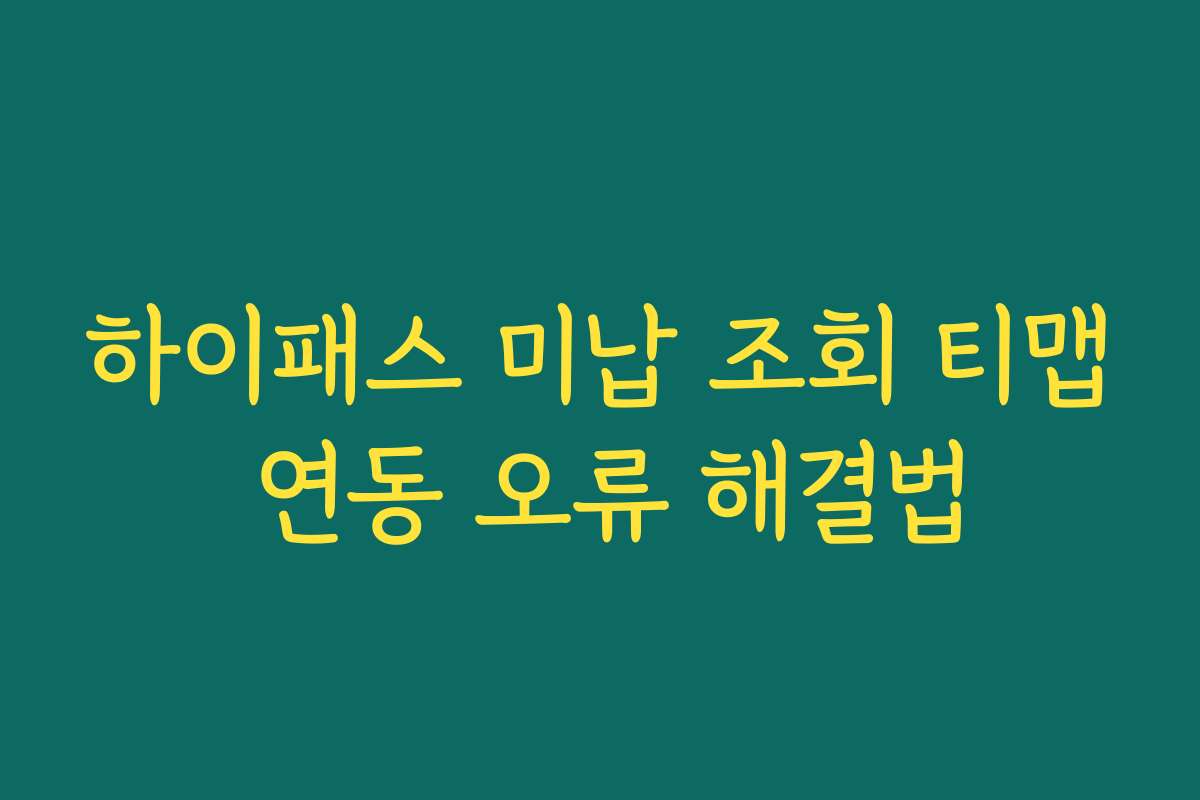 하이패스 미납 조회 티맵 연동 오류 해결법