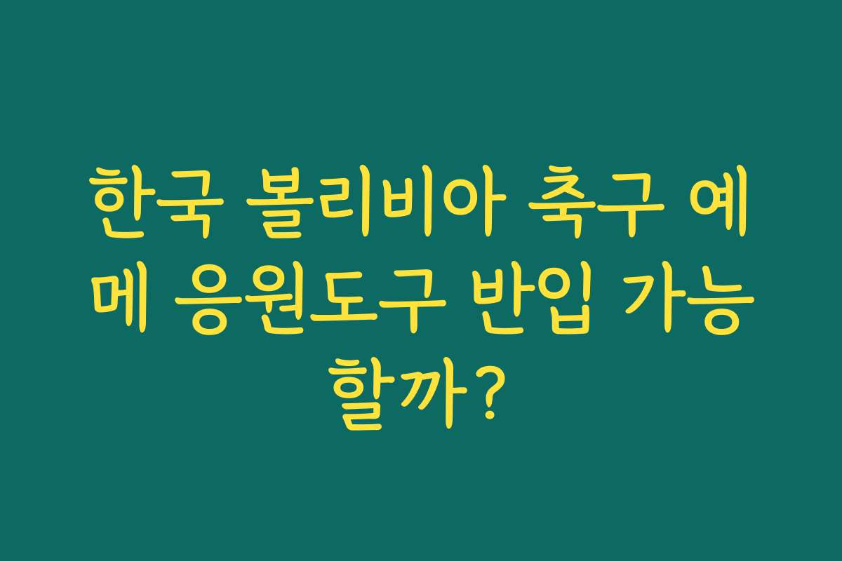 한국 볼리비아 축구 예메 응원도구 반입 가능할까?