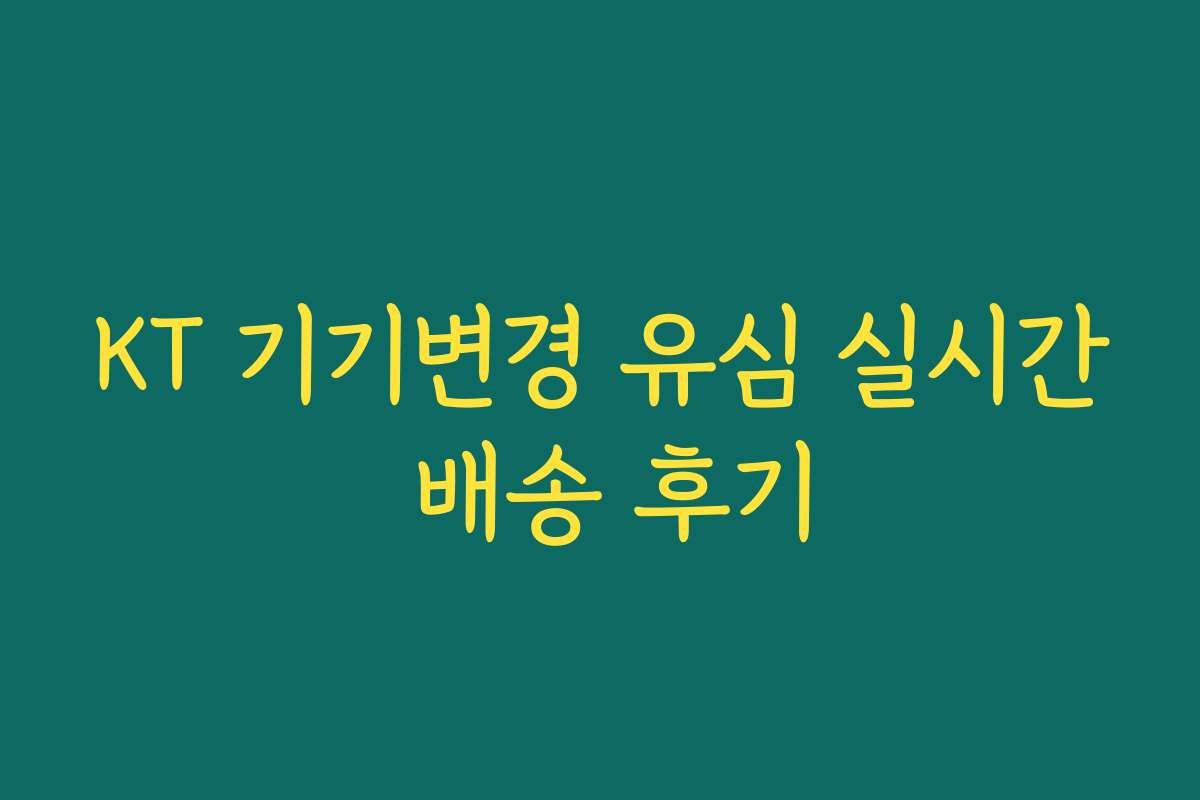 KT 기기변경 유심 실시간 배송 후기