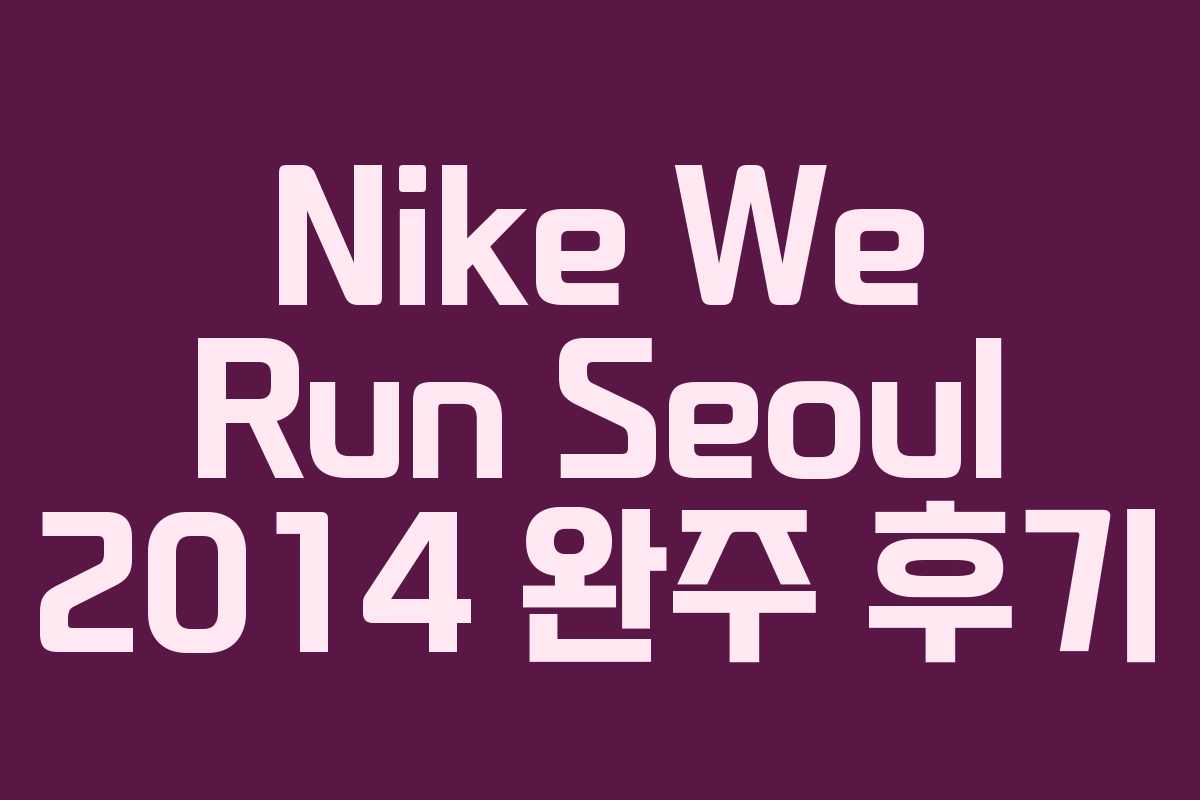 Nike We Run Seoul 2014 완주 후기