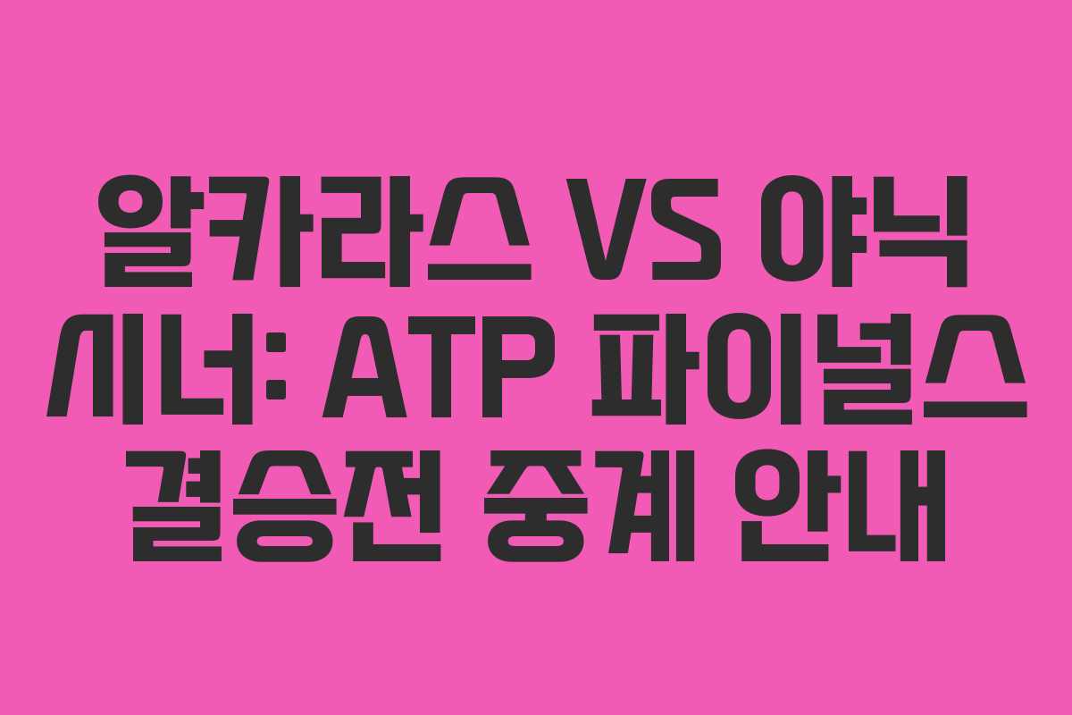 알카라스 VS 야닉 시너: ATP 파이널스 결승전 중계 안내