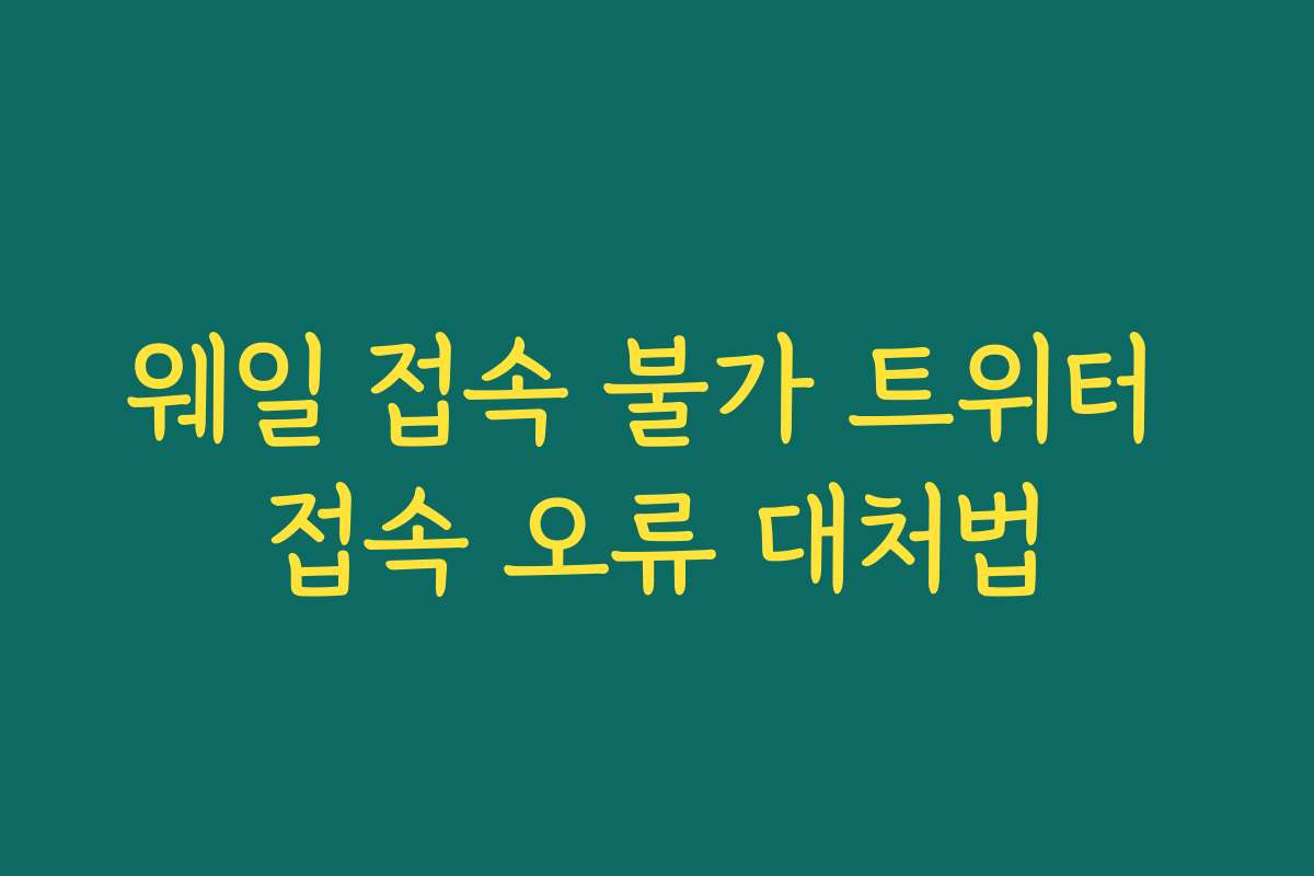 웨일 접속 불가 트위터 접속 오류 대처법