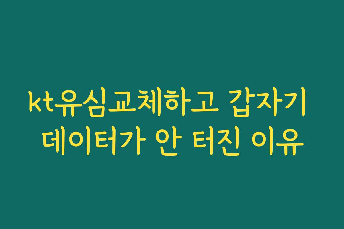 kt유심교체하고 갑자기 데이터가 안 터진 이유