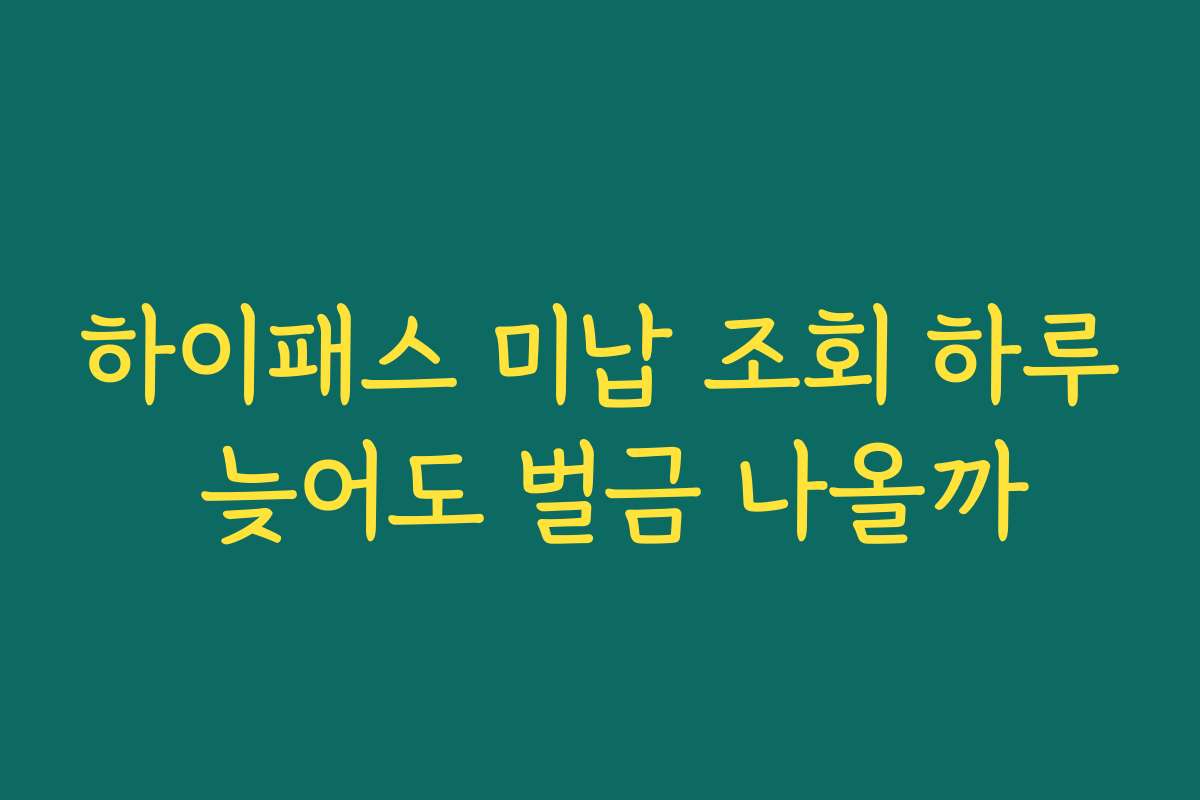 하이패스 미납 조회 하루 늦어도 벌금 나올까