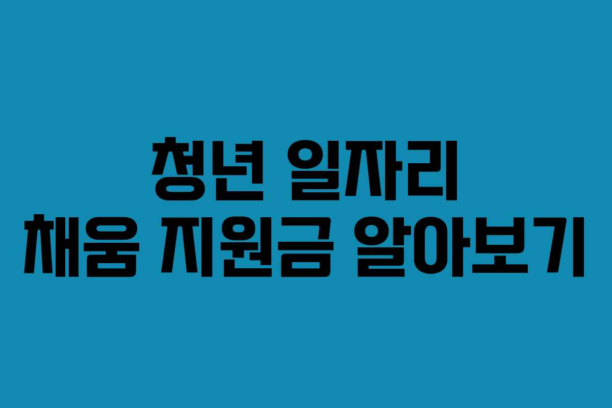 청년 일자리 채움 지원금 알아보기