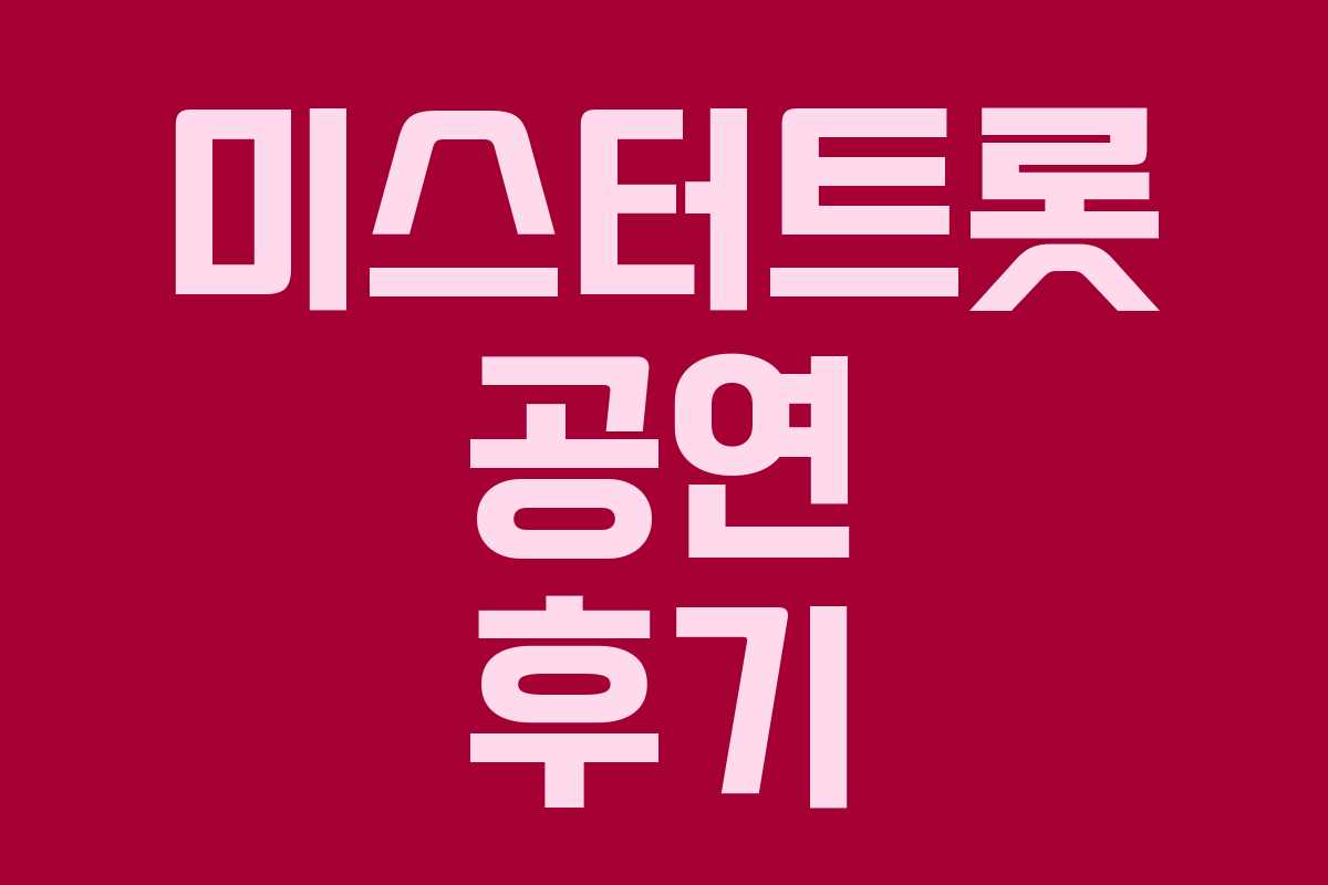 미스터트롯 공연 후기