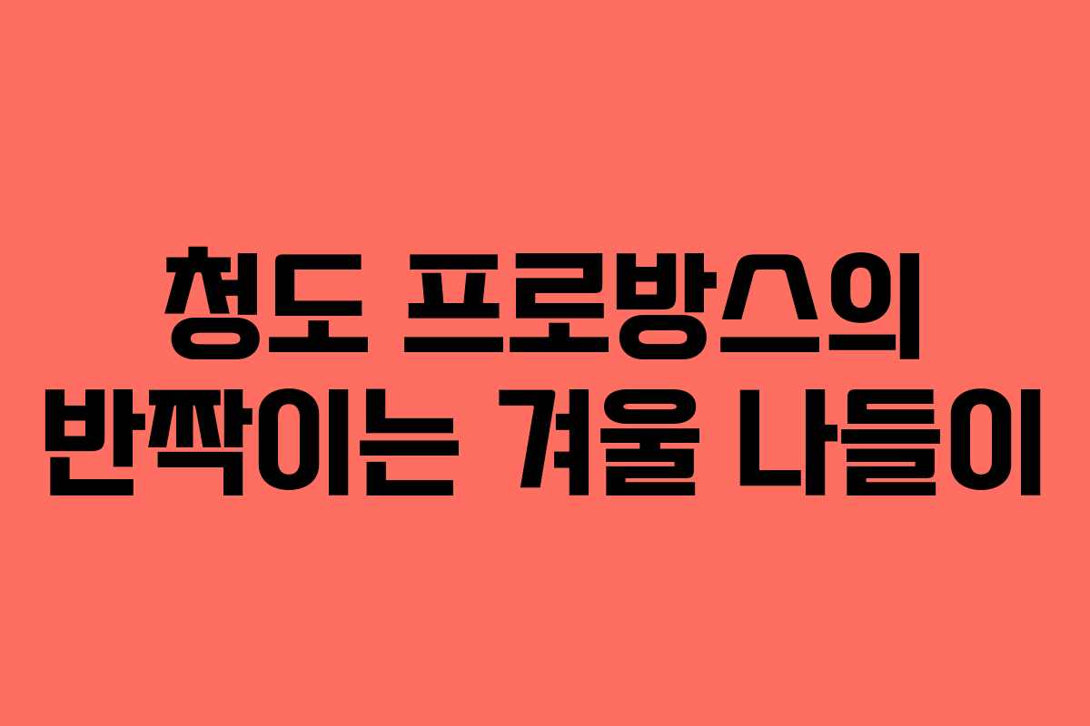 청도 프로방스의 반짝이는 겨울 나들이