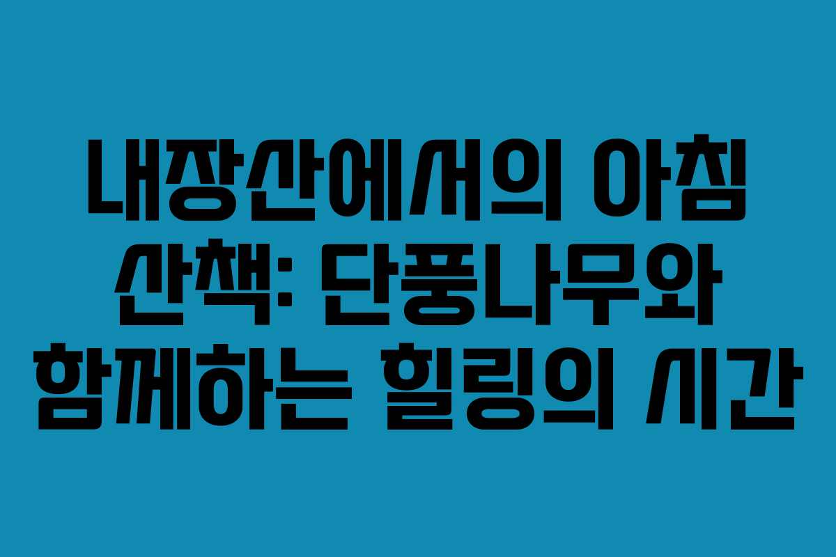 내장산에서의 아침 산책: 단풍나무와 함께하는 힐링의 시간