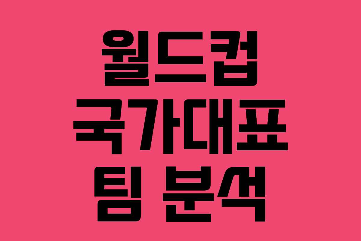 월드컵 국가대표 팀 분석