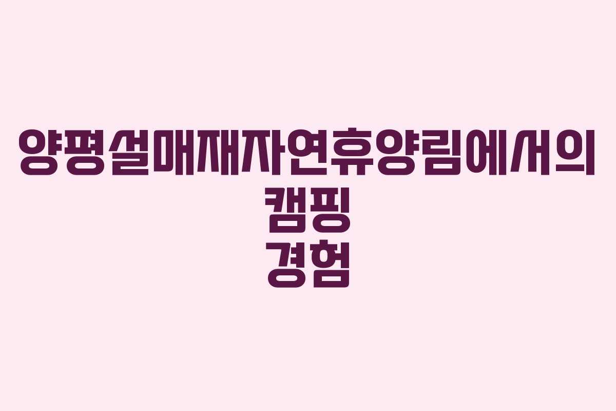 양평설매재자연휴양림에서의 캠핑 경험