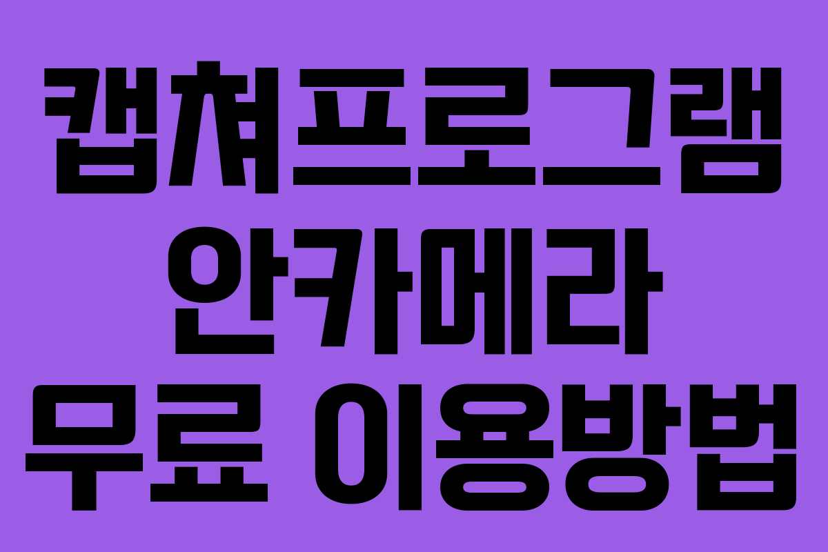 캡쳐프로그램 안카메라 무료 이용방법