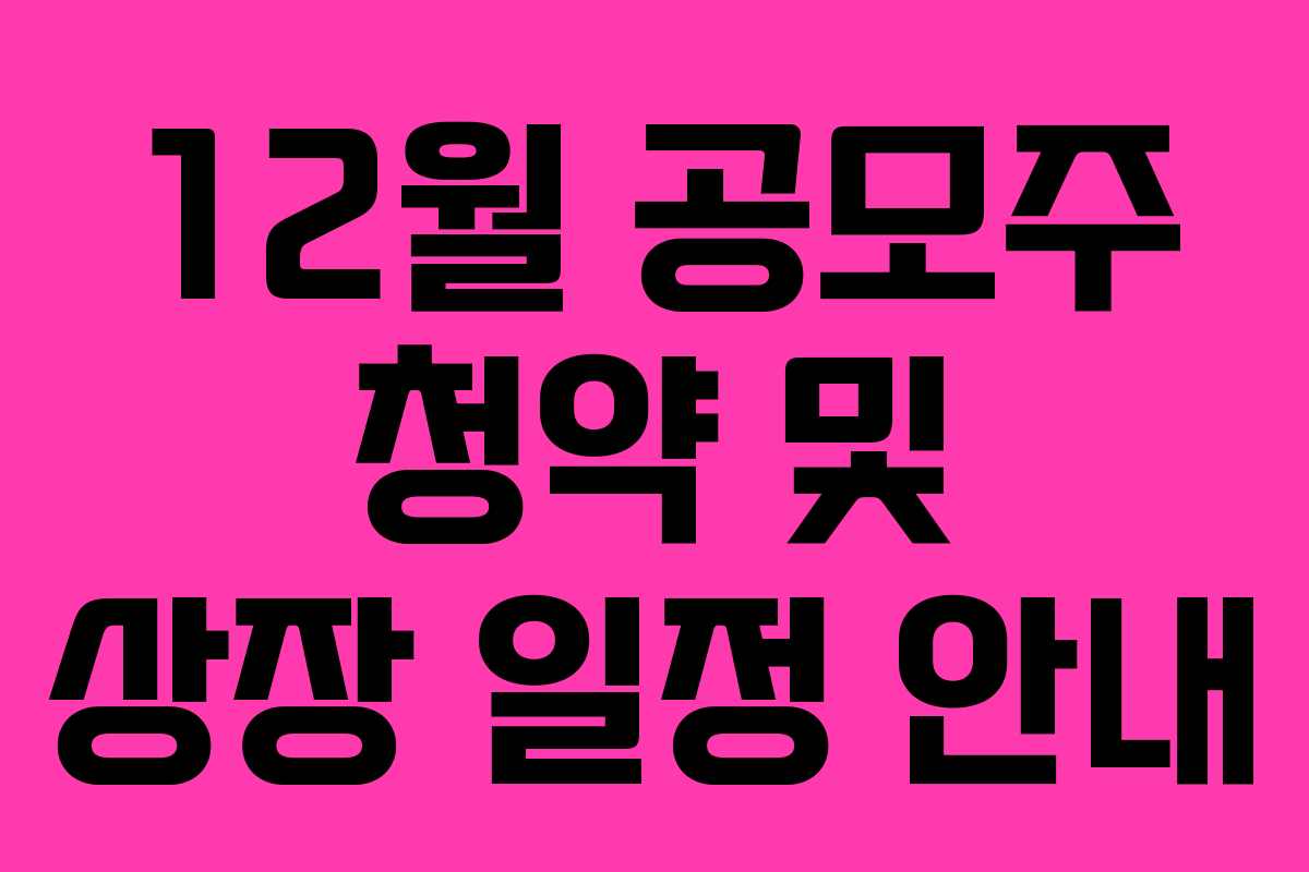 12월 공모주 청약 및 상장 일정 안내