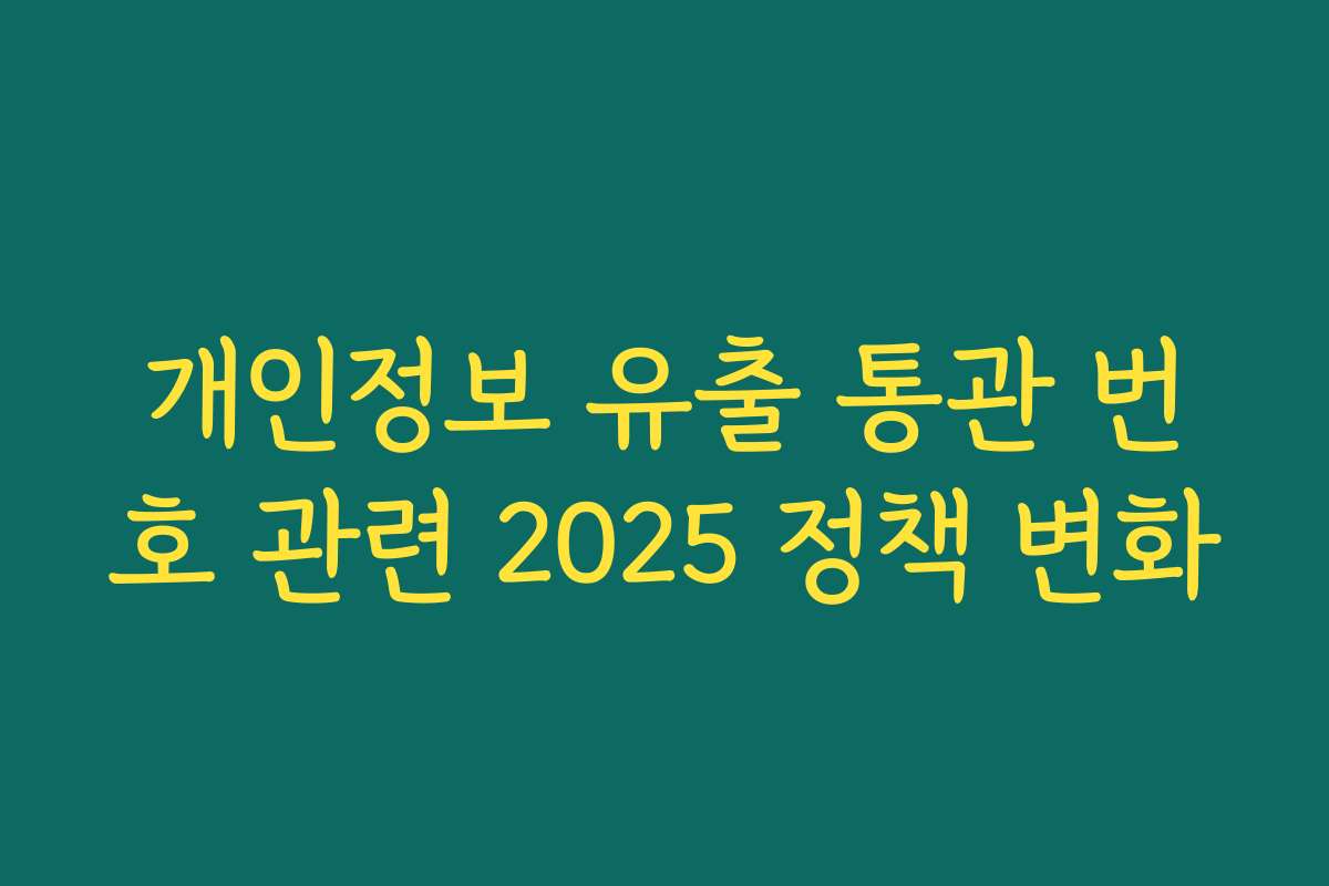 개인정보 유출 통관 번호 관련 2025 정책 변화