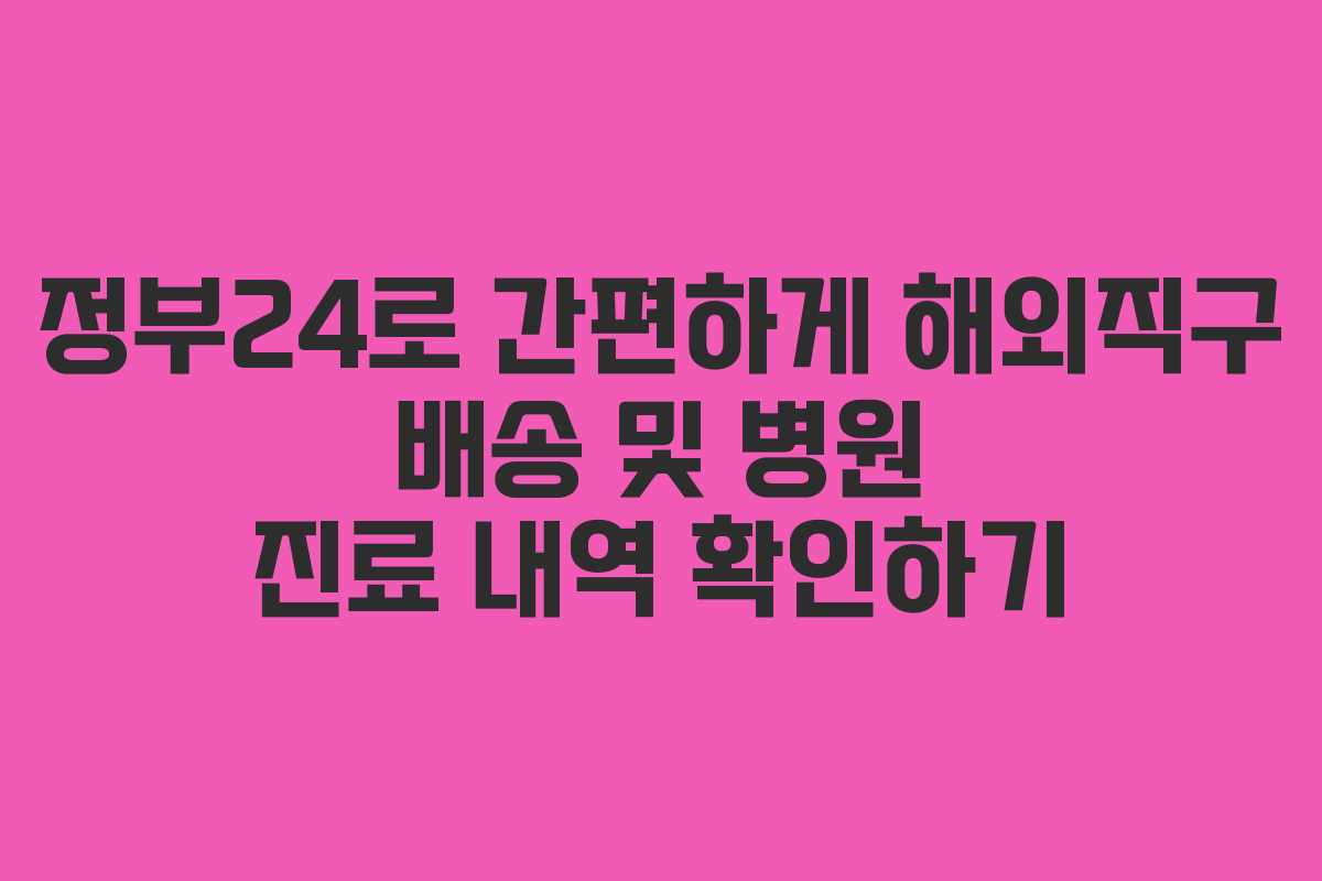 정부24로 간편하게 해외직구 배송 및 병원 진료 내역 확인하기