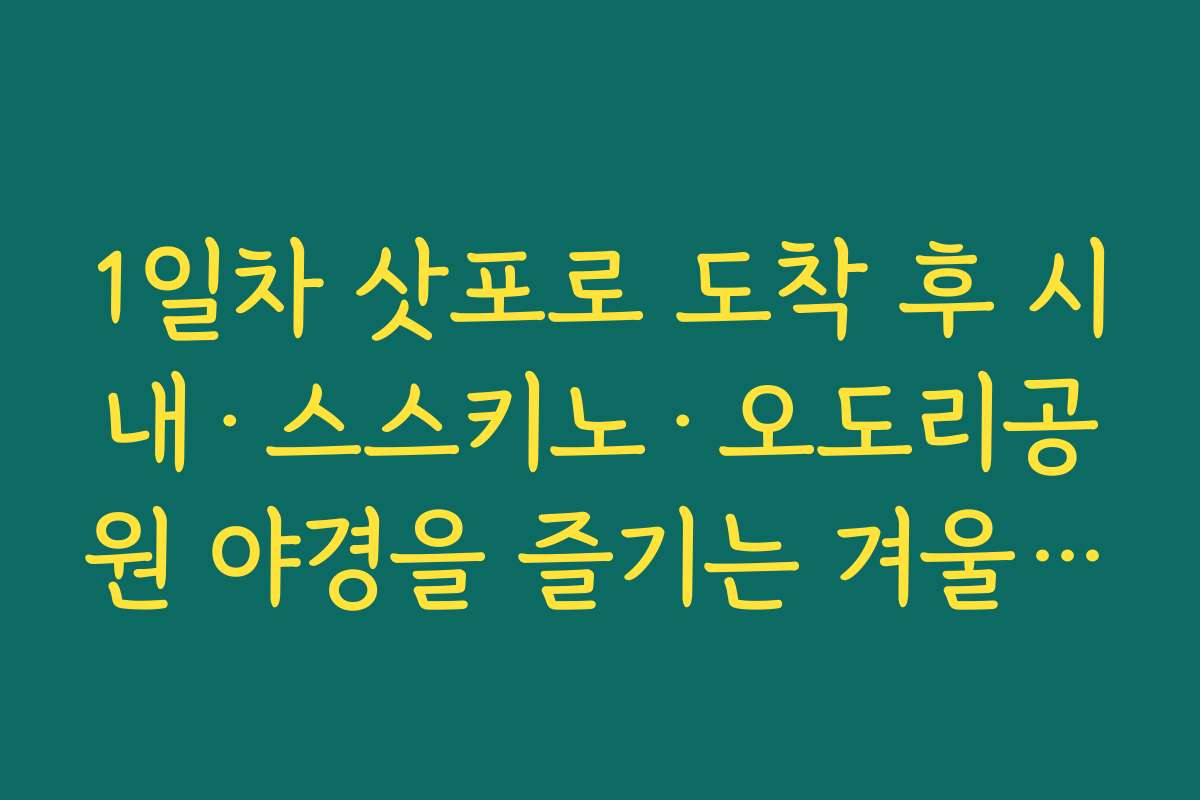 1일차 삿포로 도착 후 시내·스스키노·오도리공원 야경을 즐기는 겨울 홋카이도 3박 4일 여행코스