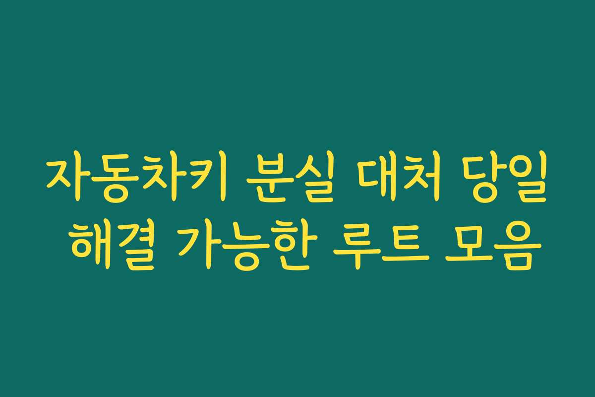 자동차키 분실 대처 당일 해결 가능한 루트 모음