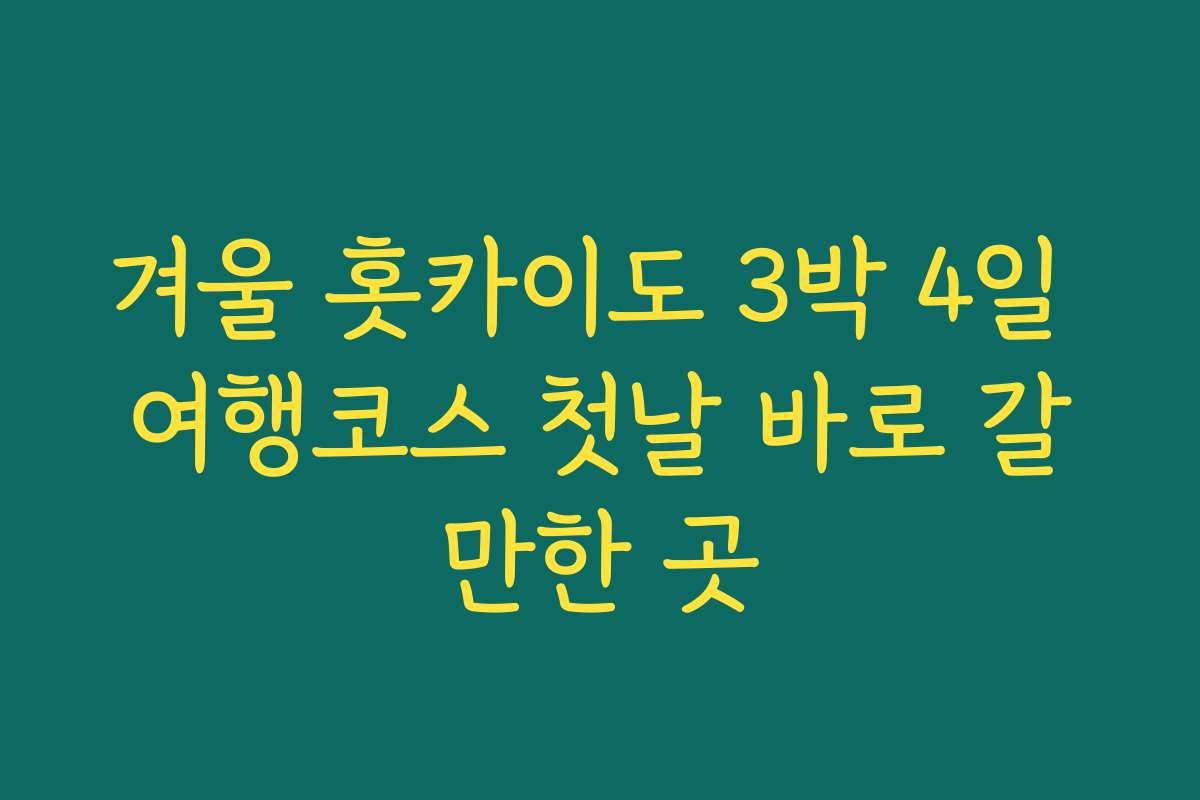겨울 홋카이도 3박 4일 여행코스 첫날 바로 갈만한 곳