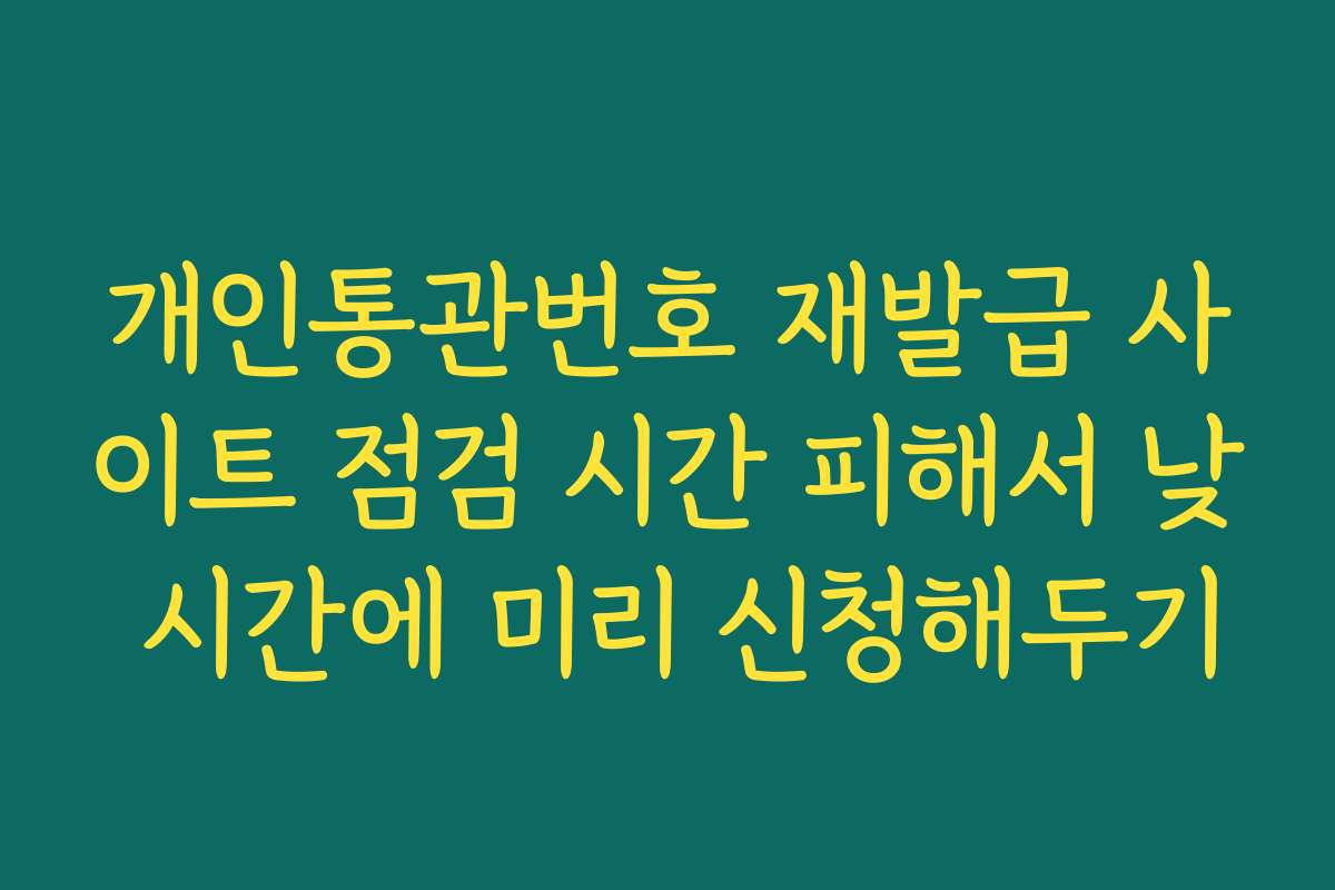 개인통관번호 재발급 사이트 점검 시간 피해서 낮 시간에 미리 신청해두기