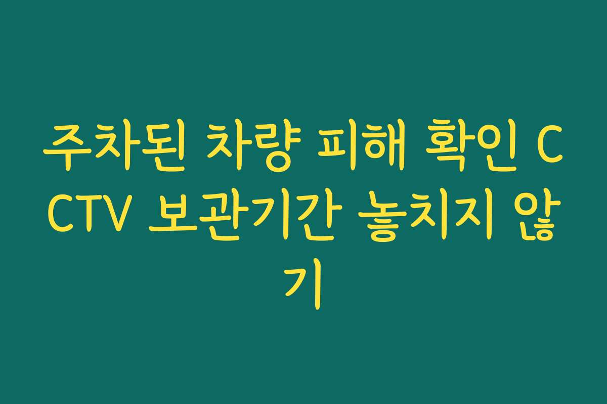 주차된 차량 피해 확인 CCTV 보관기간 놓치지 않기