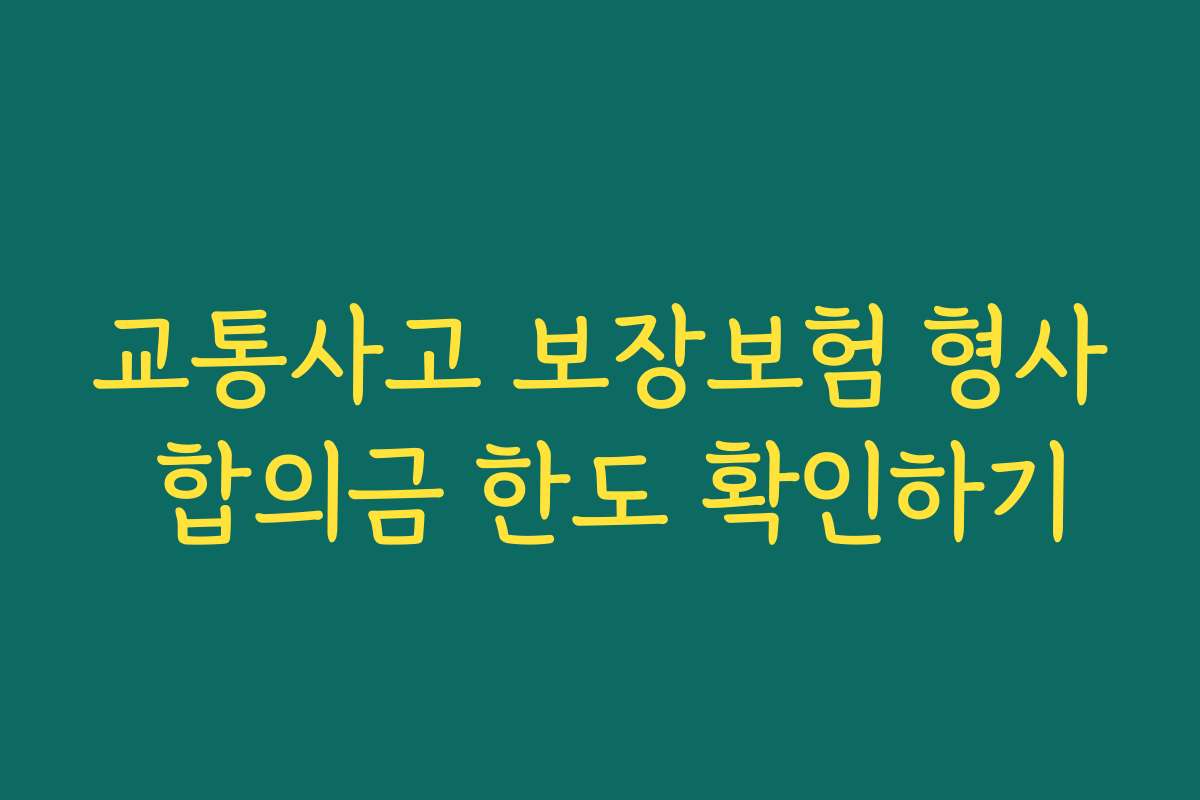 교통사고 보장보험 형사 합의금 한도 확인하기 교통사고 보장보험 형사 합의금 한도 확인하기