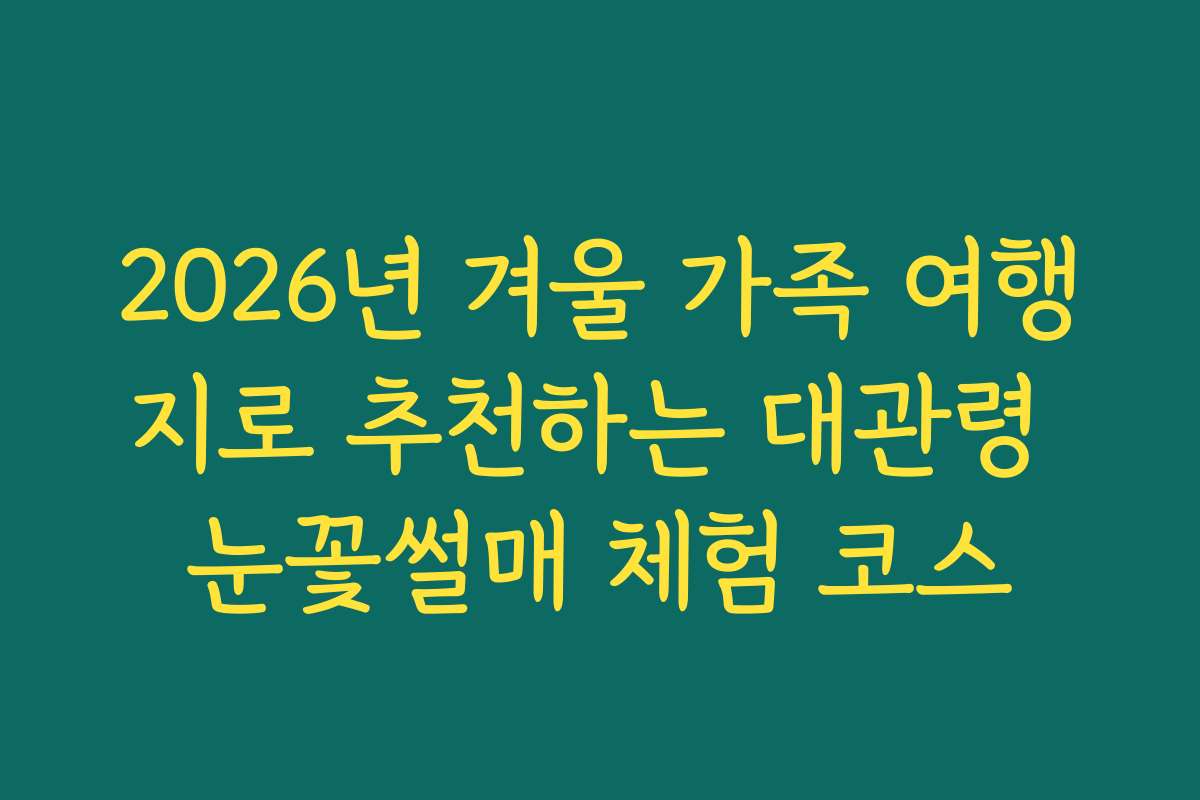 2026년 겨울 가족 여행지로 추천하는 대관령 눈꽃썰매 체험 코스