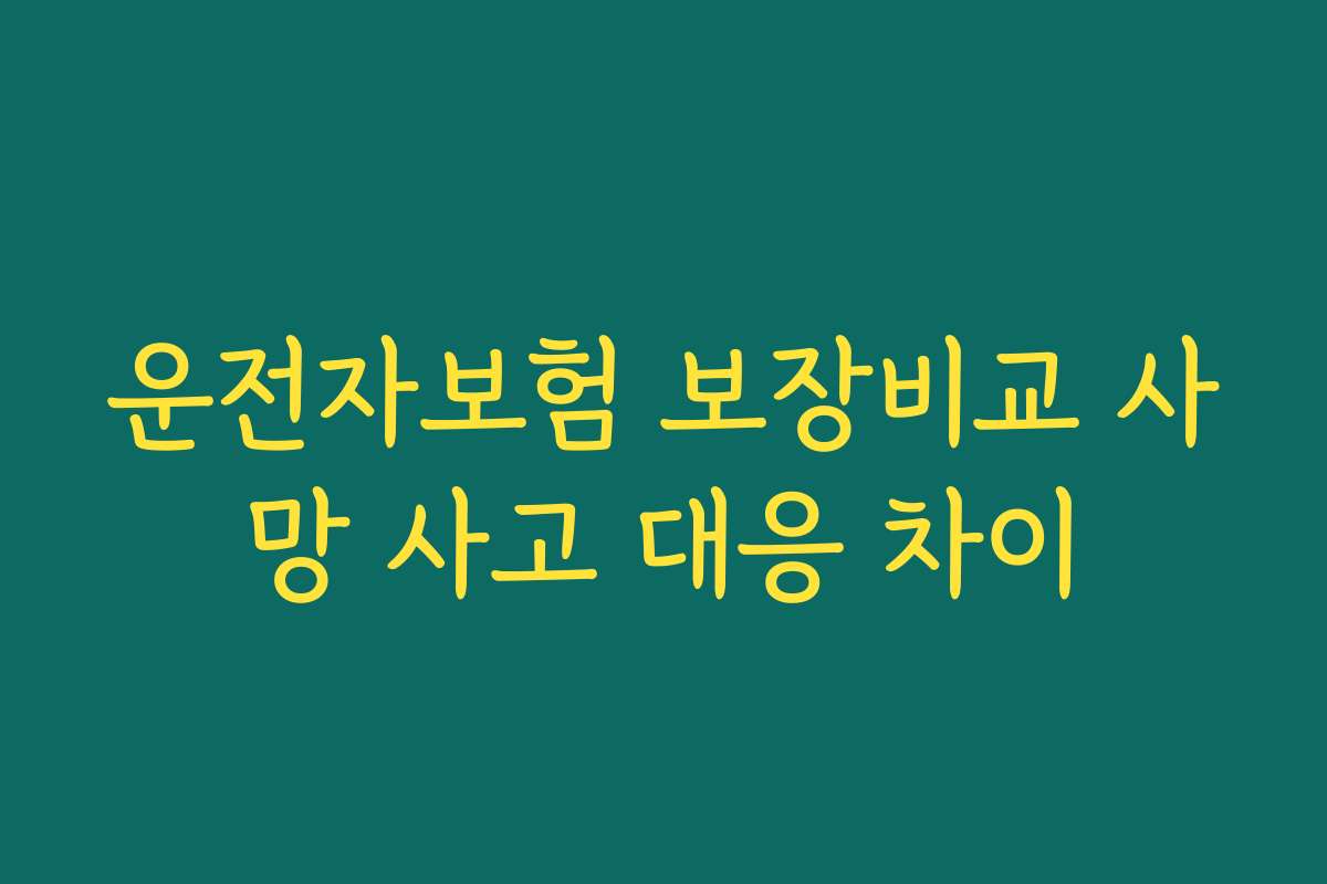 운전자보험 보장비교 사망 사고 대응 차이