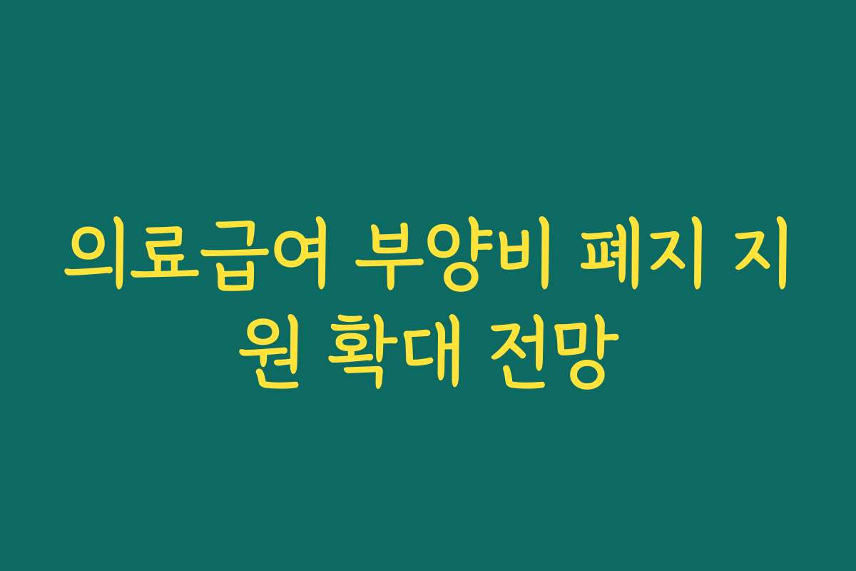 의료급여 부양비 폐지 지원 확대 전망