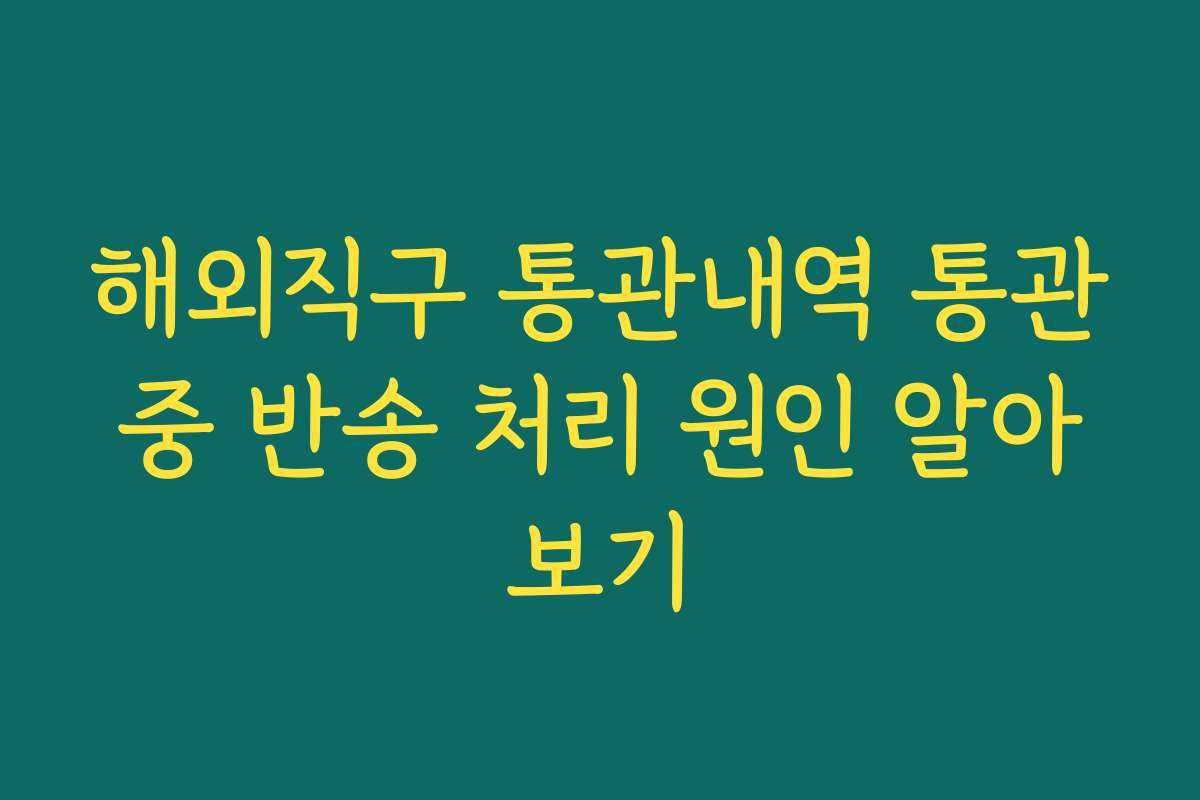 해외직구 통관내역 통관중 반송 처리 원인 알아보기 해외직구 통관내역 통관중 반송 처리 원인 알아보기