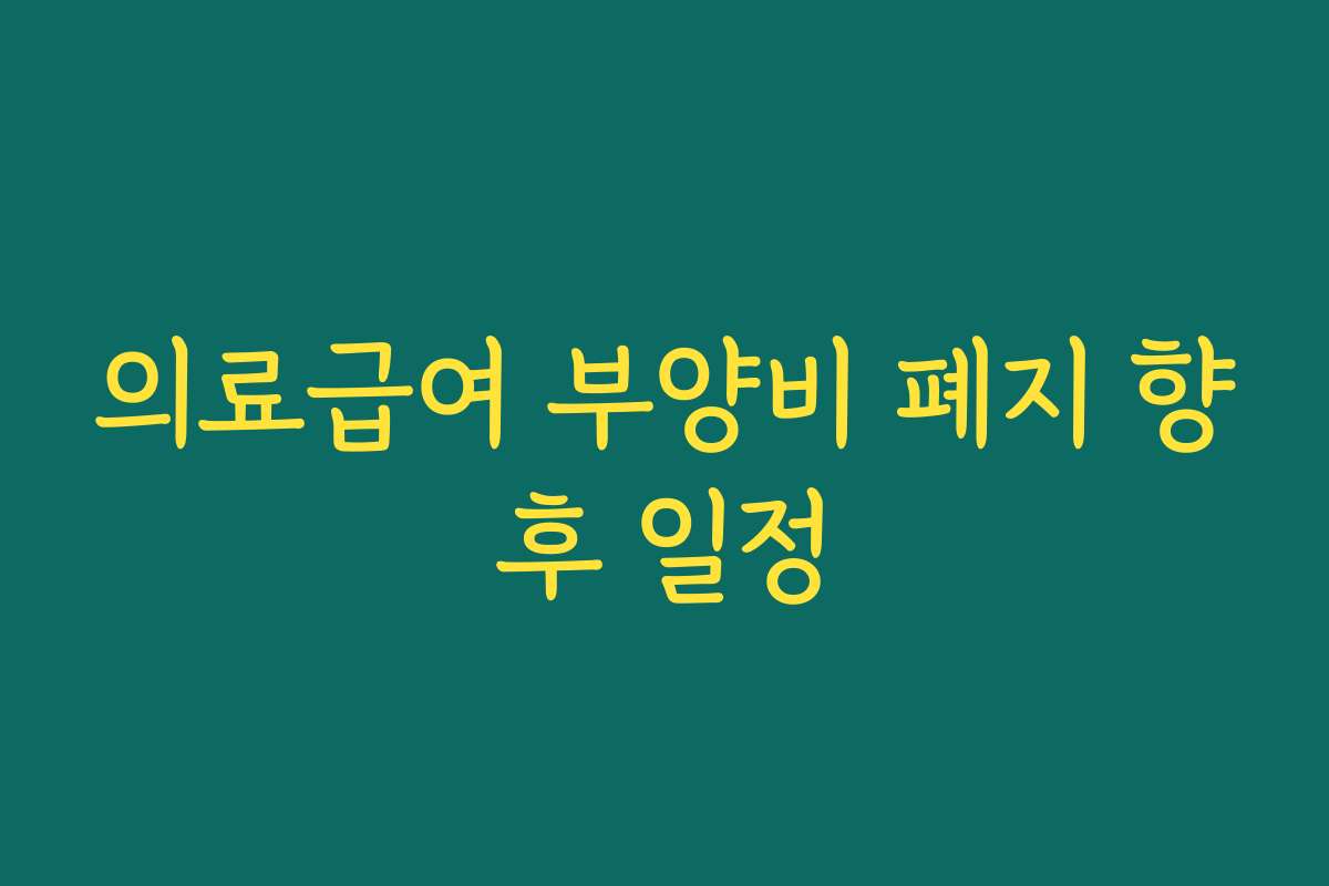의료급여 부양비 폐지 향후 일정