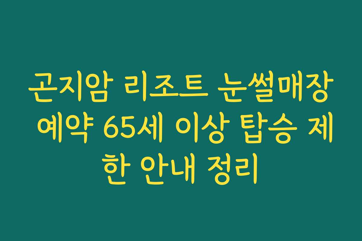 곤지암 리조트 눈썰매장 예약 65세 이상 탑승 제한 안내 정리