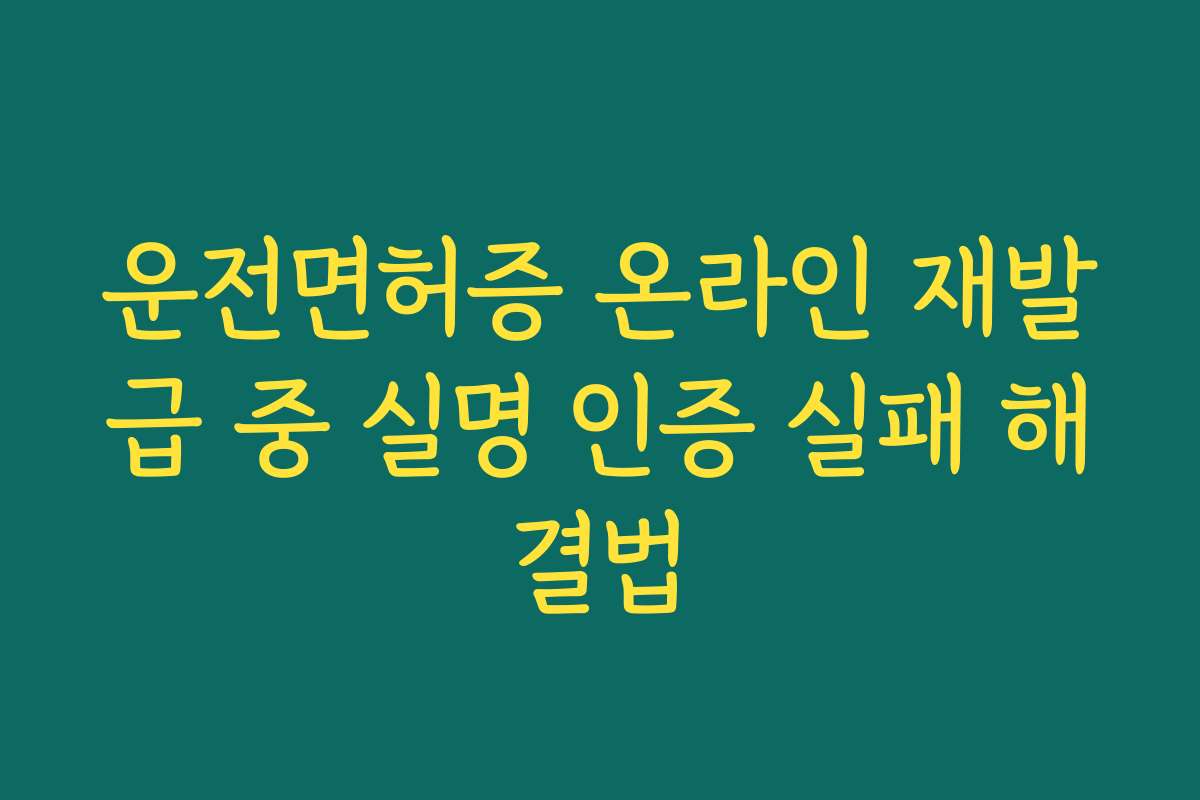 운전면허증 온라인 재발급 중 실명 인증 실패 해결법