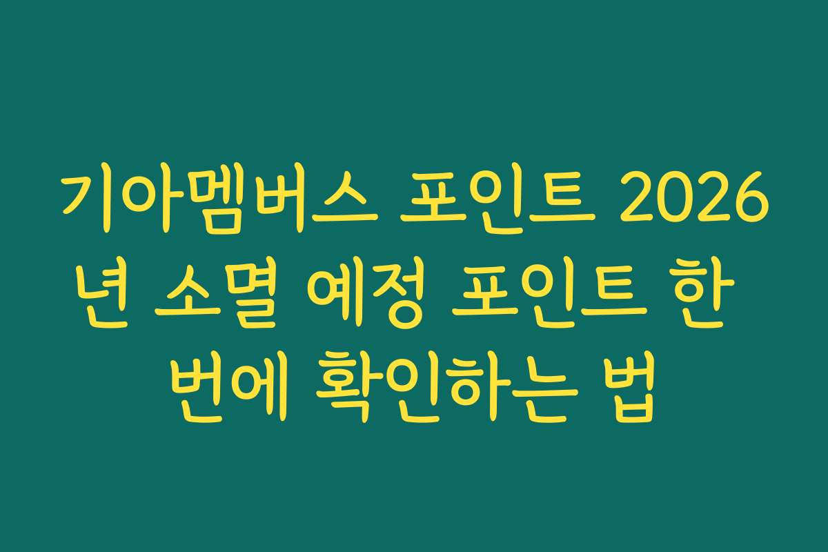 기아멤버스 포인트 2026년 소멸 예정 포인트 한 번에 확인하는 법