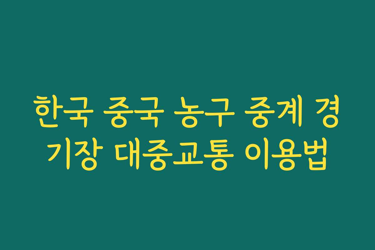 한국 중국 농구 중계 경기장 대중교통 이용법