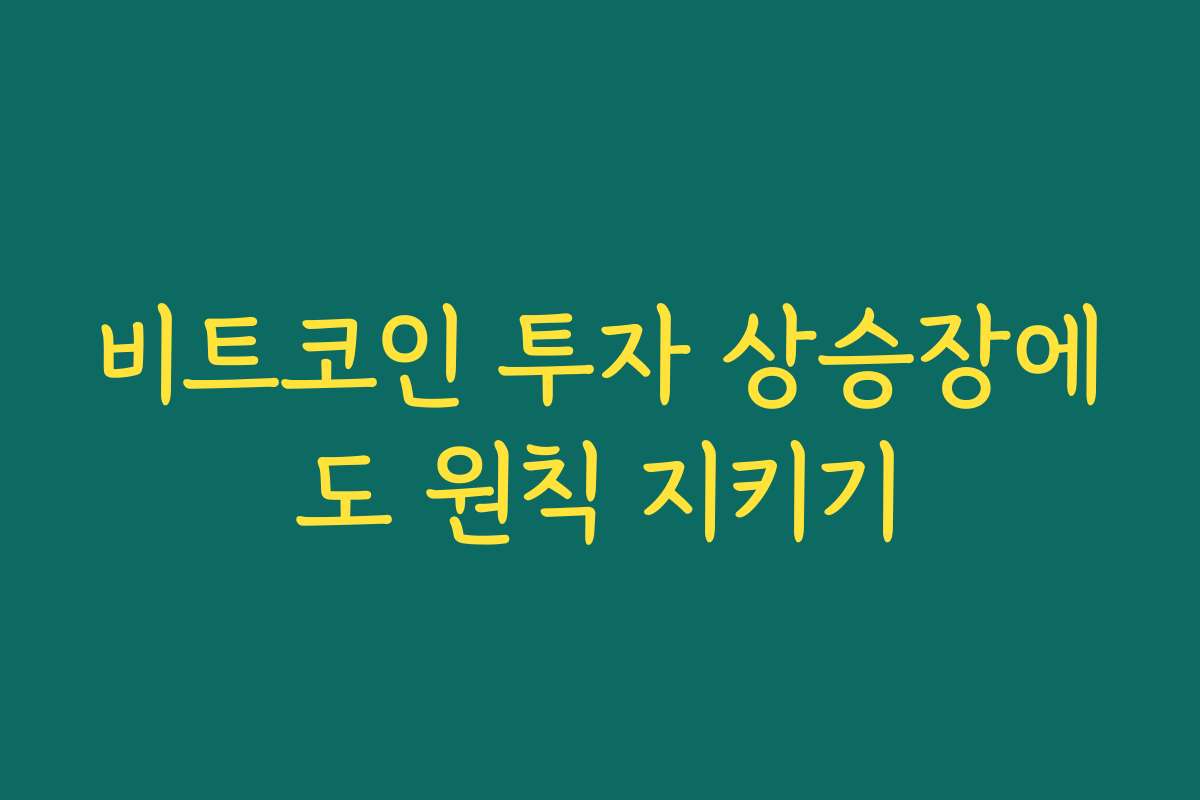 비트코인 투자 상승장에도 원칙 지키기