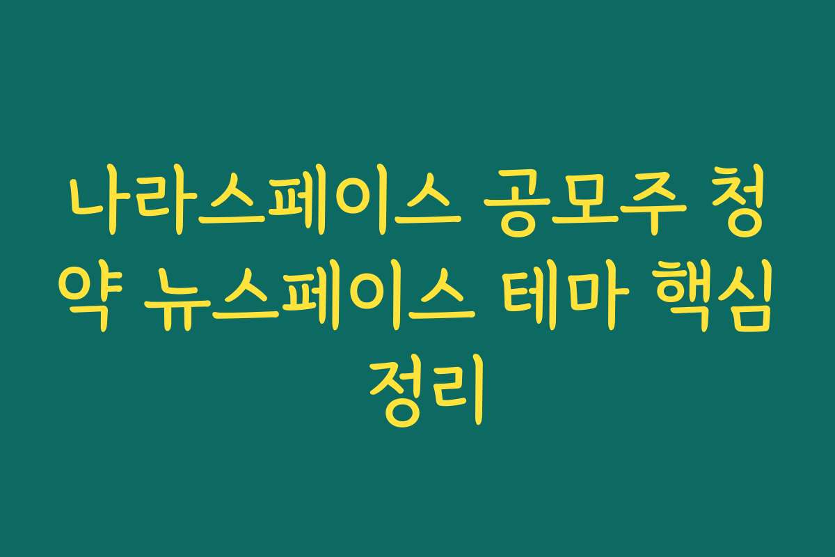 나라스페이스 공모주 청약 뉴스페이스 테마 핵심 정리