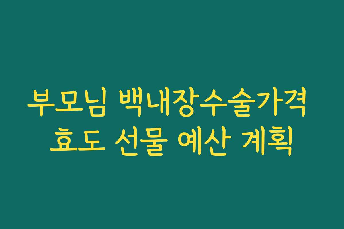 부모님 백내장수술가격 효도 선물 예산 계획