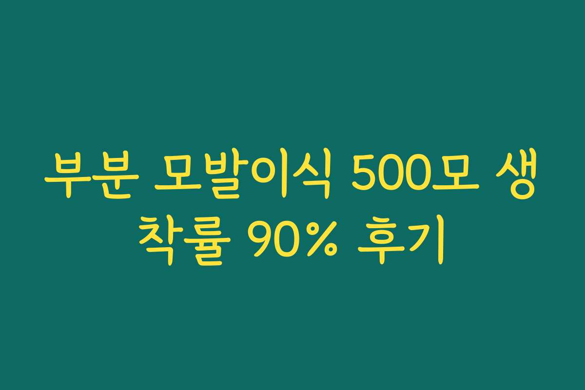 부분 모발이식 500모 생착률 90% 후기