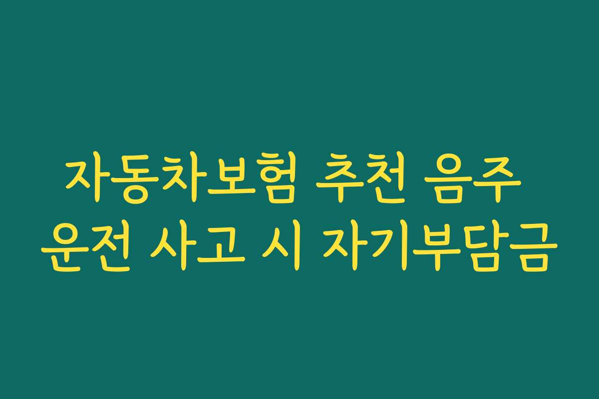 자동차보험 추천 음주 운전 사고 시 자기부담금