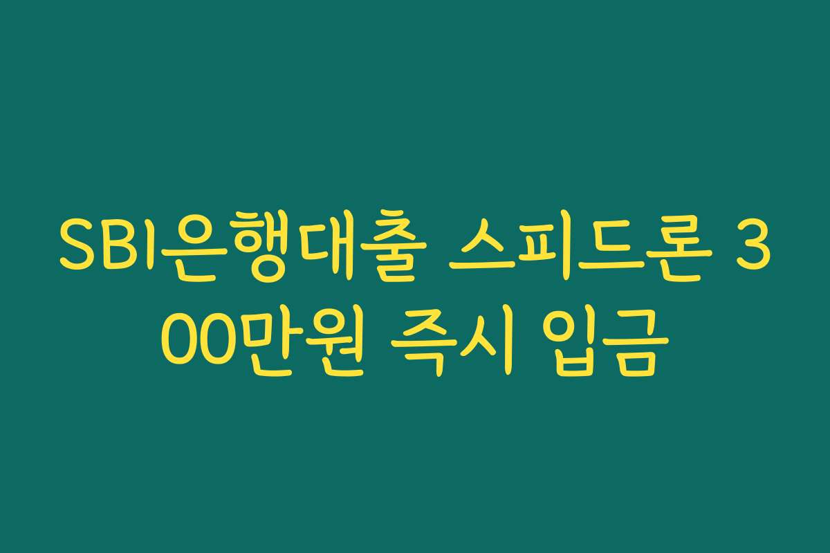 SBI은행대출 스피드론 300만원 즉시 입금