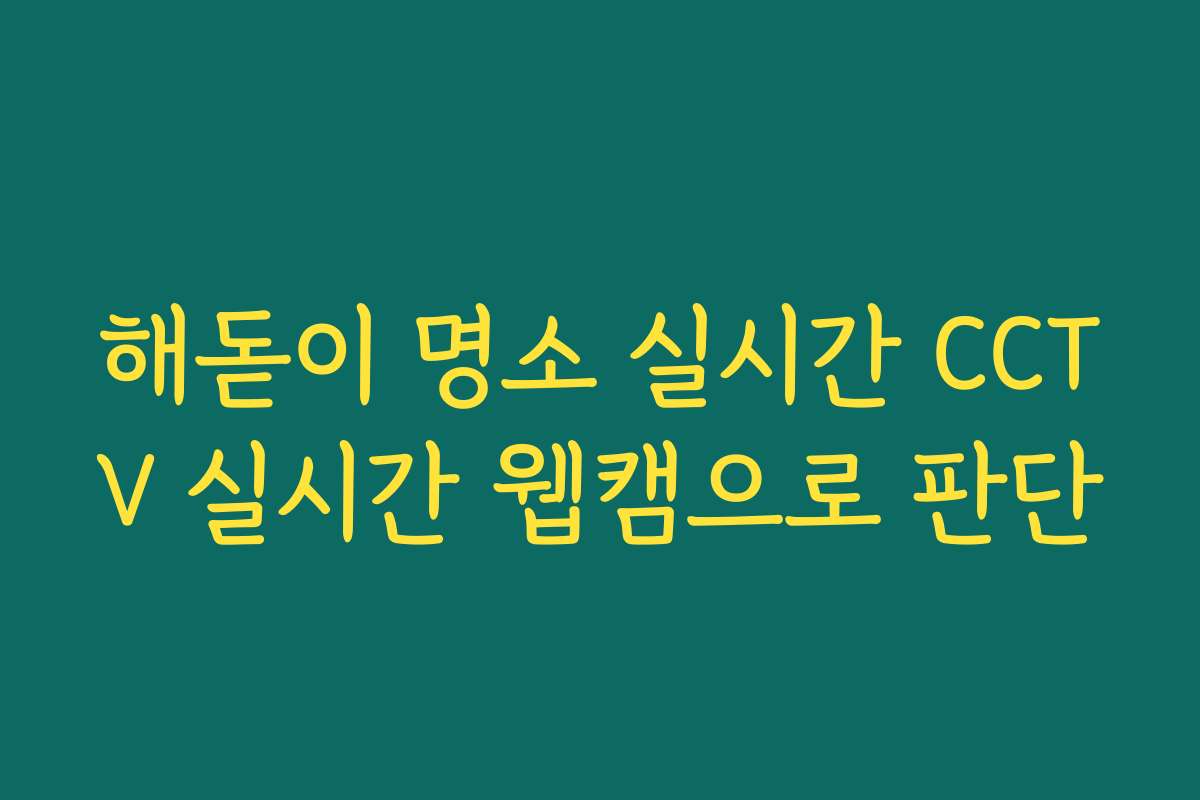 해돋이 명소 실시간 CCTV 실시간 웹캠으로 판단