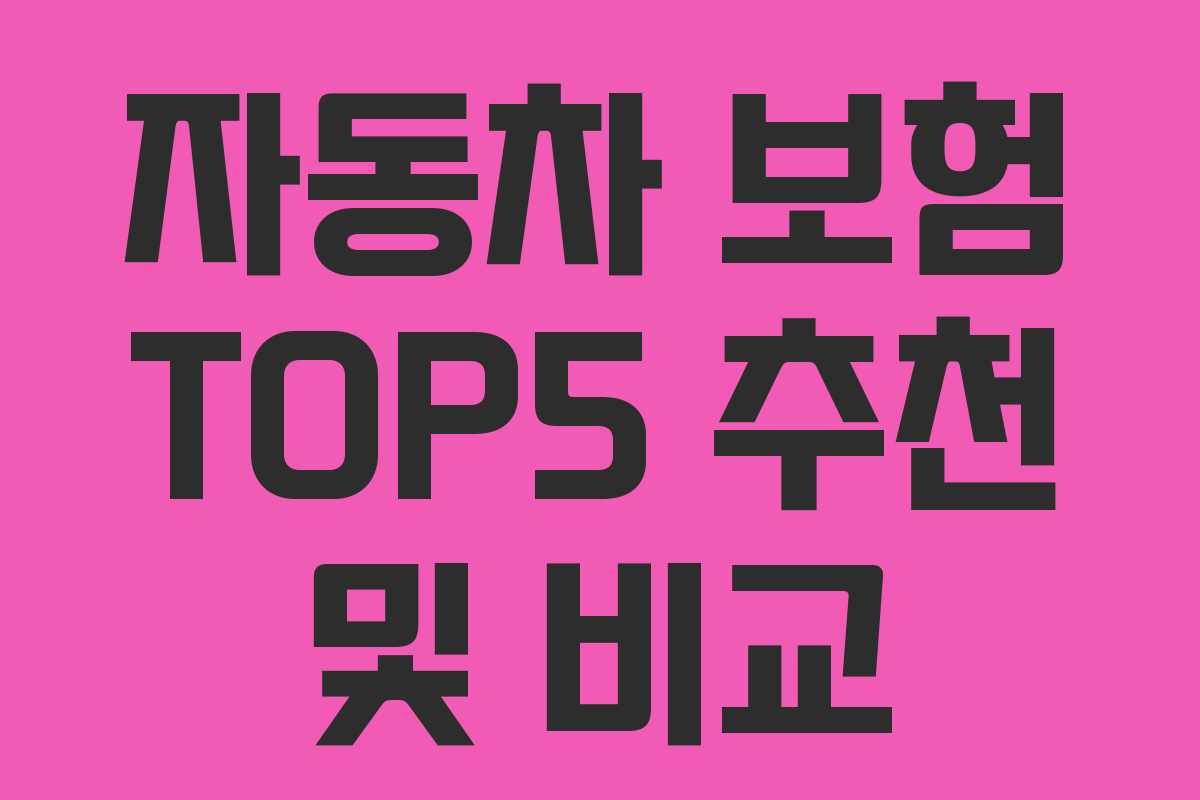 자동차 보험 TOP5 추천 및 비교