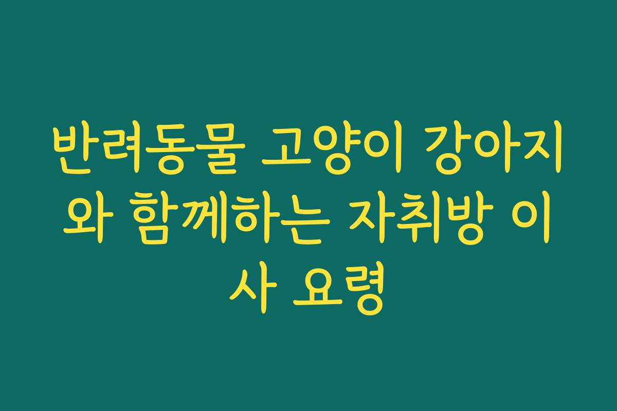 반려동물 고양이 강아지와 함께하는 자취방 이사 요령