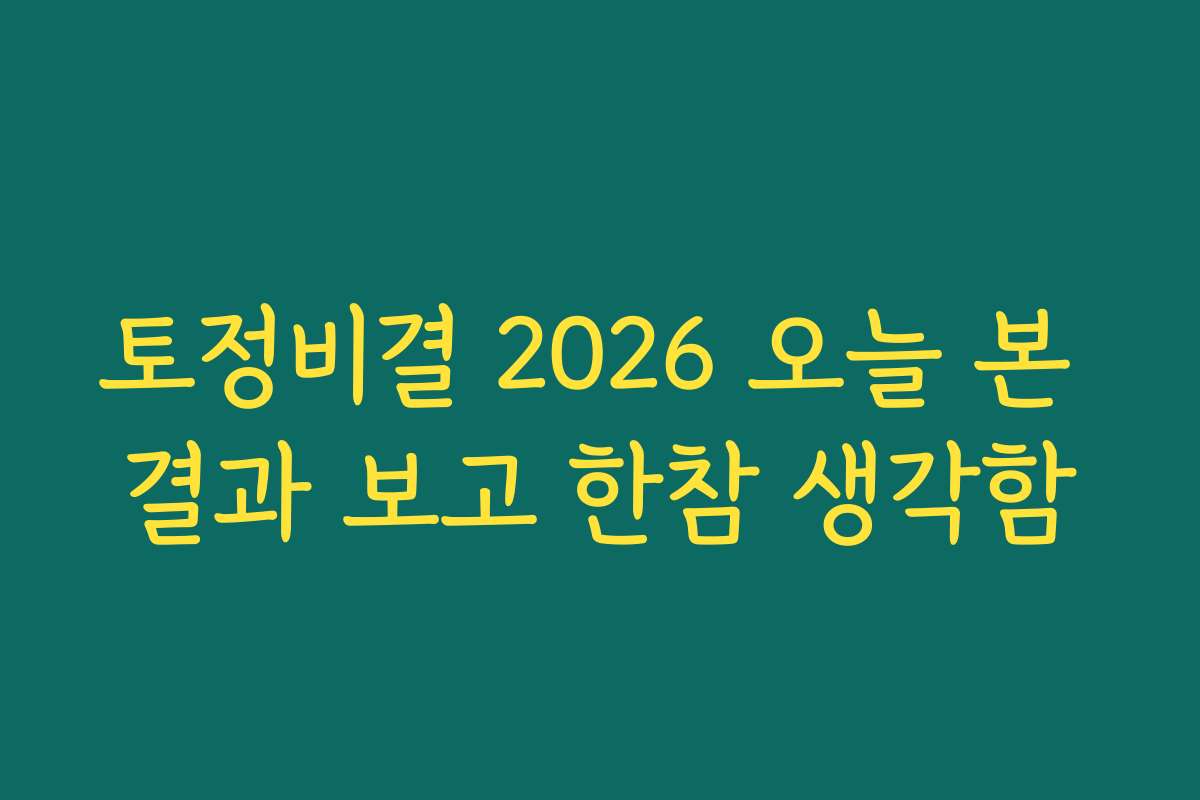 토정비결 2026 오늘 본 결과 보고 한참 생각함