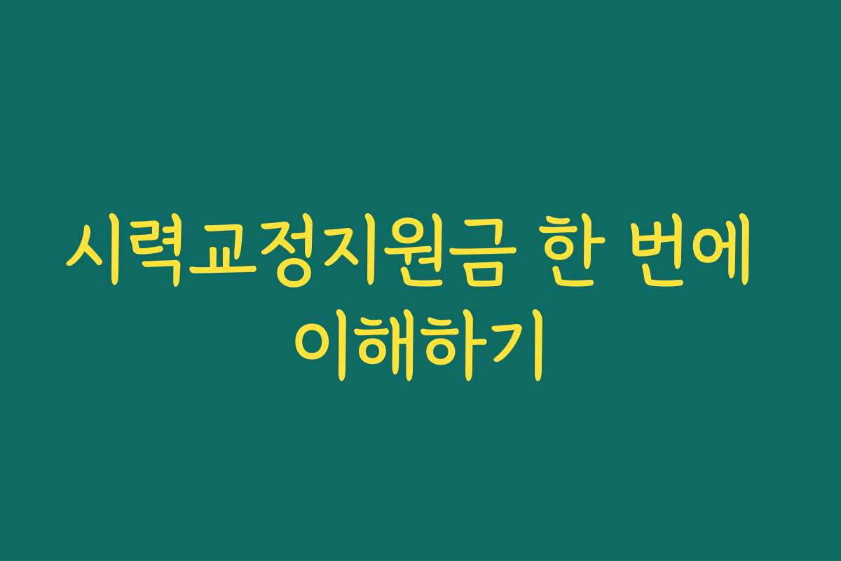 시력교정지원금 한 번에 이해하기