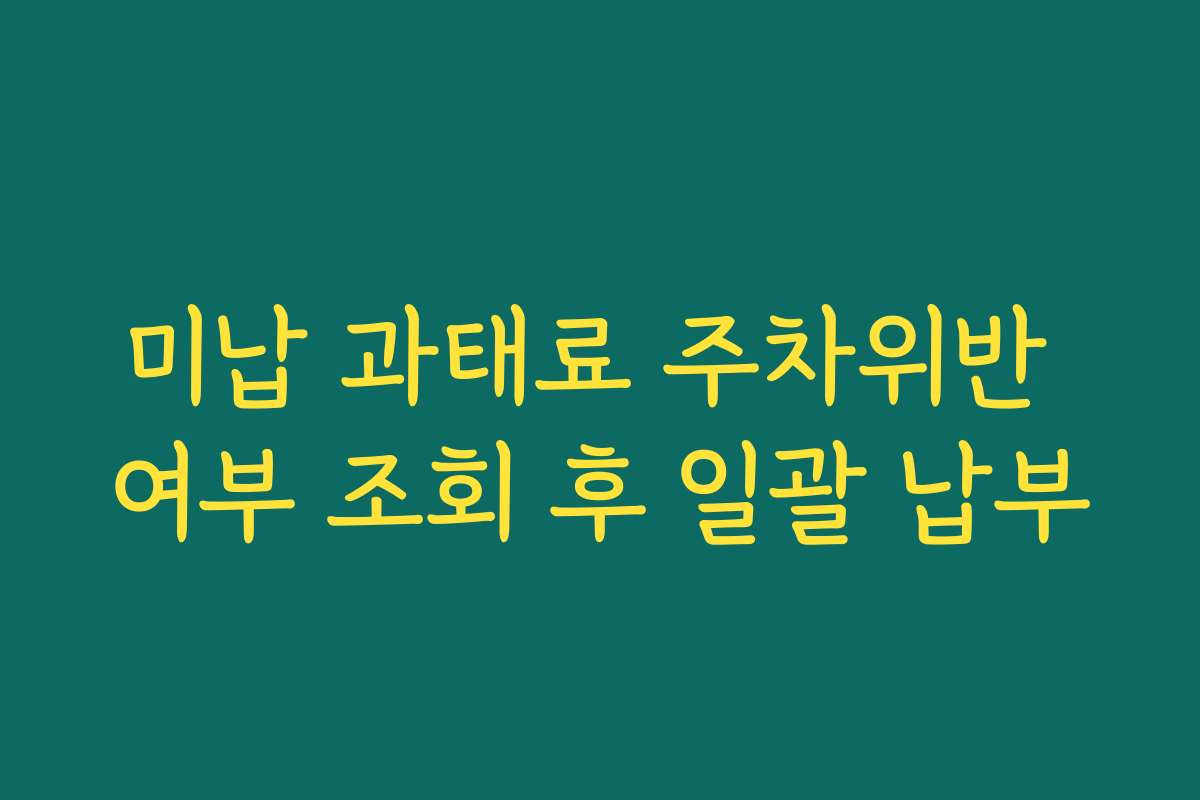 미납 과태료 주차위반 여부 조회 후 일괄 납부