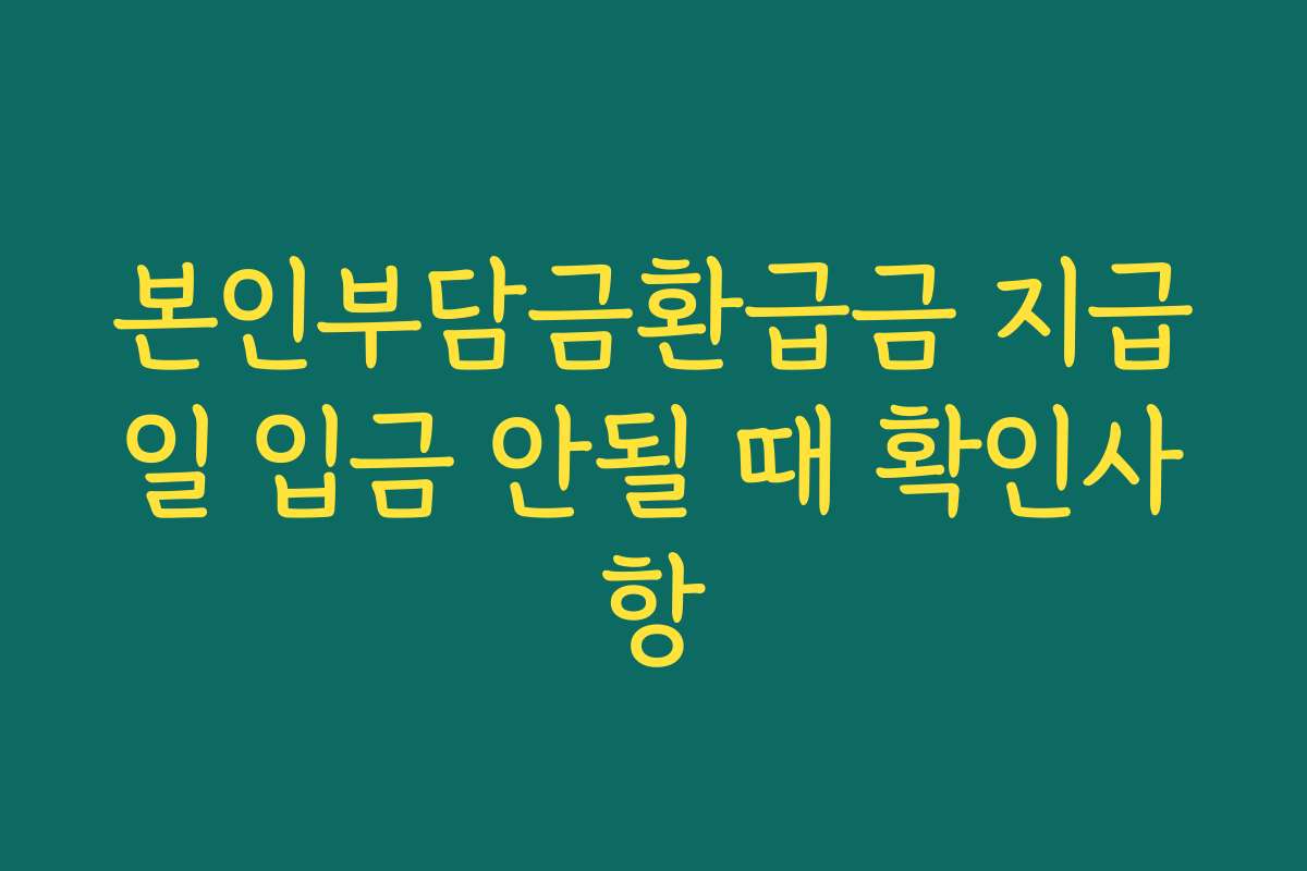 본인부담금환급금 지급일 입금 안될 때 확인사항