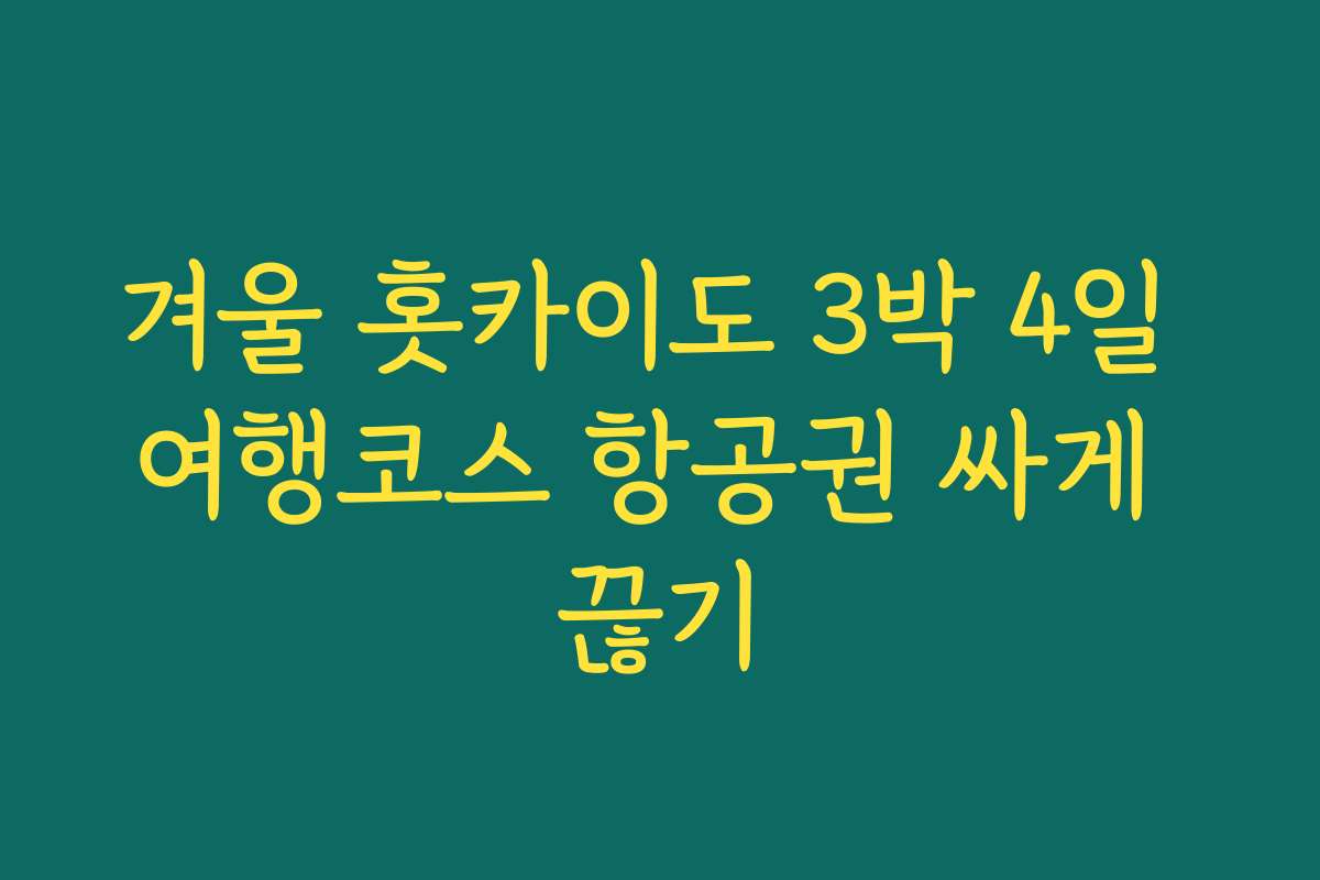 겨울 홋카이도 3박 4일 여행코스 항공권 싸게 끊기
