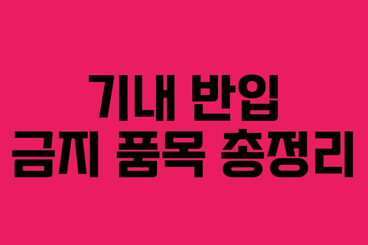 기내 반입 금지 품목 총정리