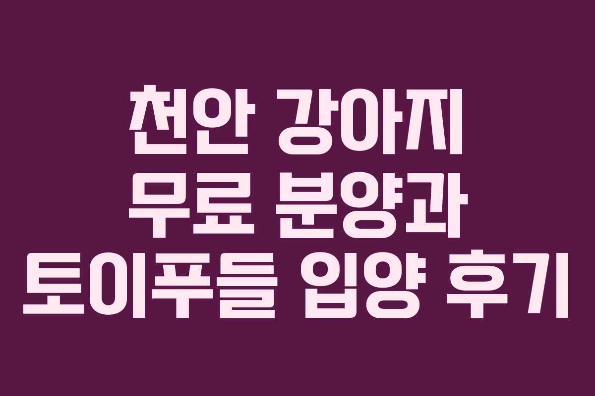 천안 강아지 무료 분양과 토이푸들 입양 후기