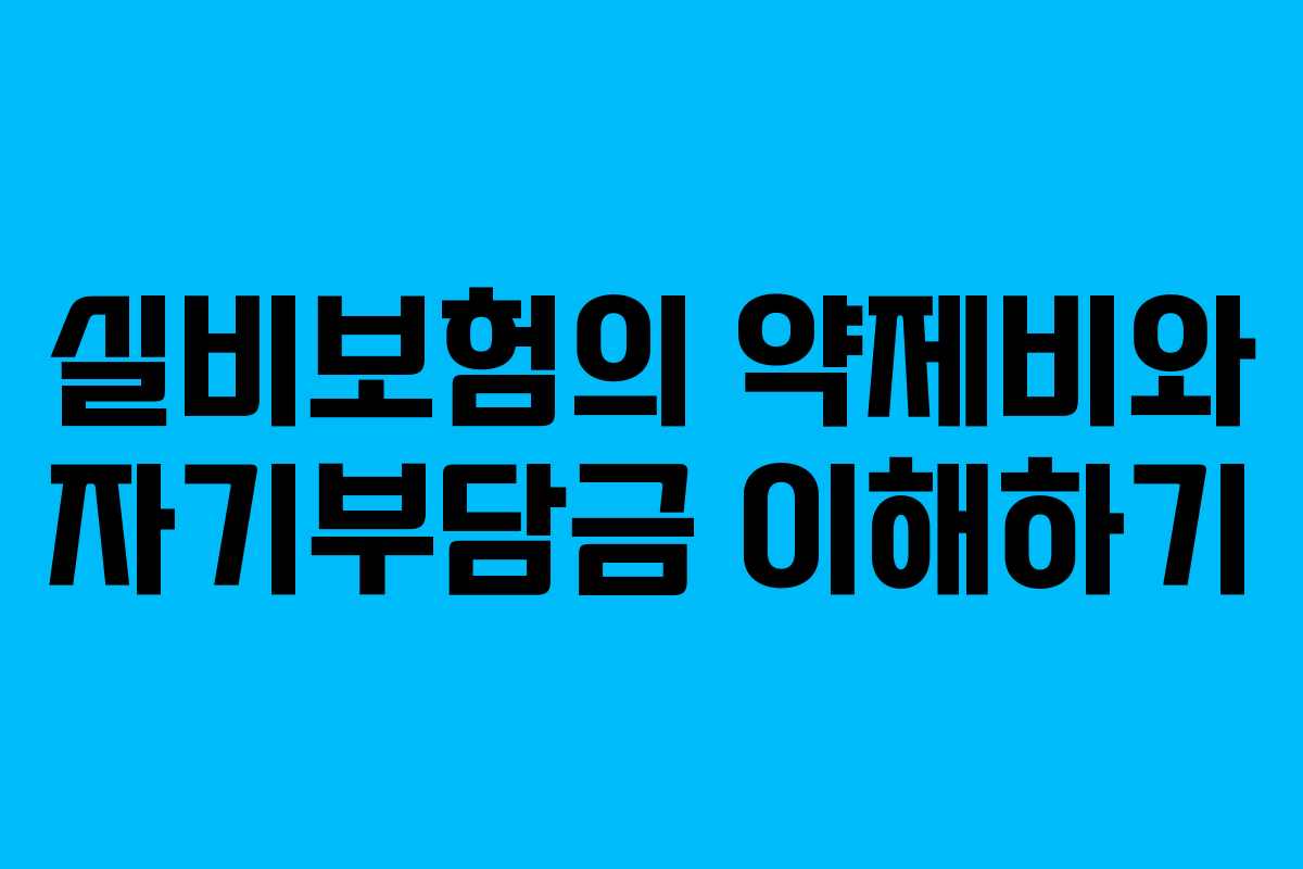 실비보험의 약제비와 자기부담금 이해하기